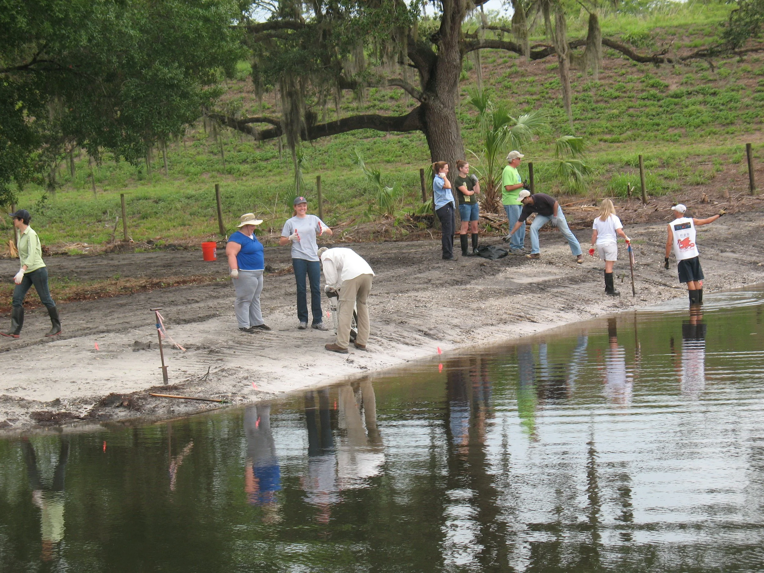 Group of people working on archaeological or environmental excavation along a riverbank, with tools and markers, and a large tree in the background.