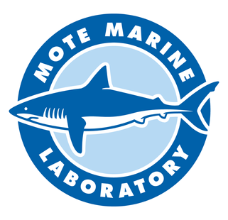 Logo of Mote Marine Laboratory featuring a stylized shark in front of a sun or moon, with the text 'Mote Marine Laboratory' encircling it.