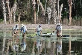 Four people fishing on a small boat in a lake with a dense forest in the background.