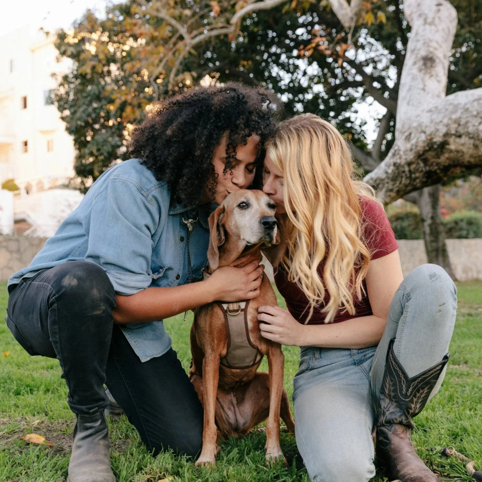 Lesbian couple, biracial, kissing their pet dog together.