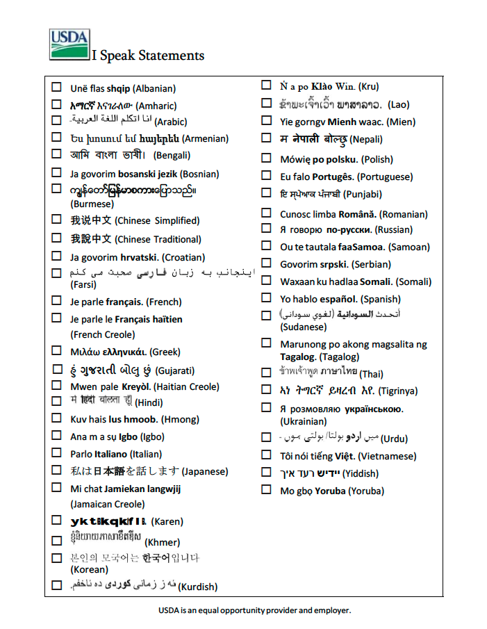 I Speak Statements for translators