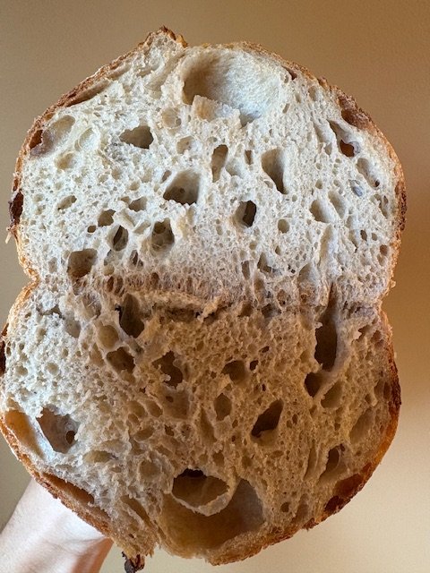 sourdough crumb for gallery.jpg
