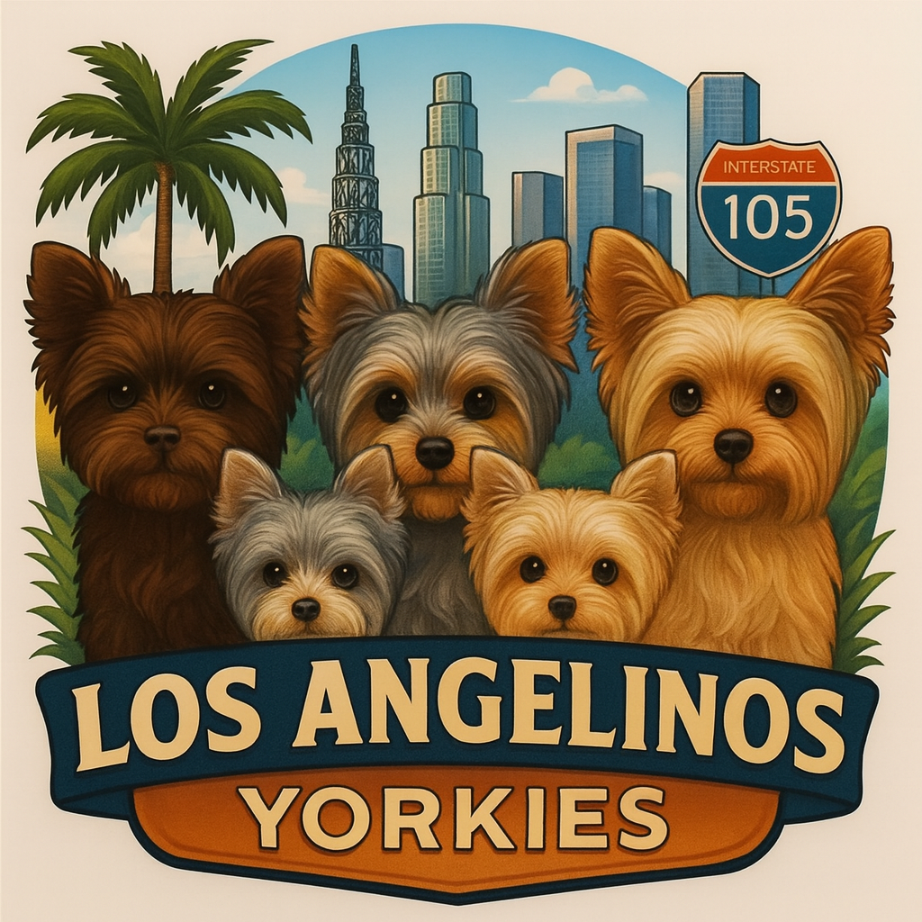 Illustration of five Yorkshire Terriers in front of the Los Angeles city skyline, a palm tree, and an Interstate 105 sign, with a banner reading 'Los Angelinos Yorkies'.
