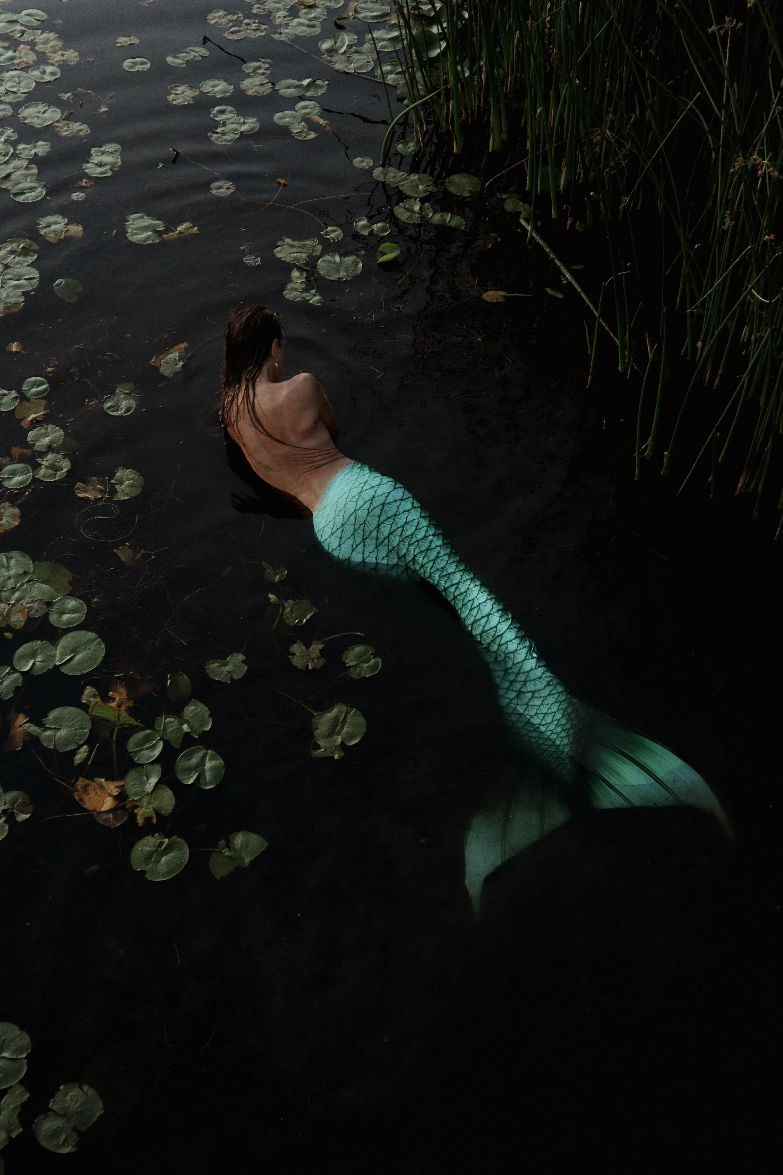 Mermaid.jpg