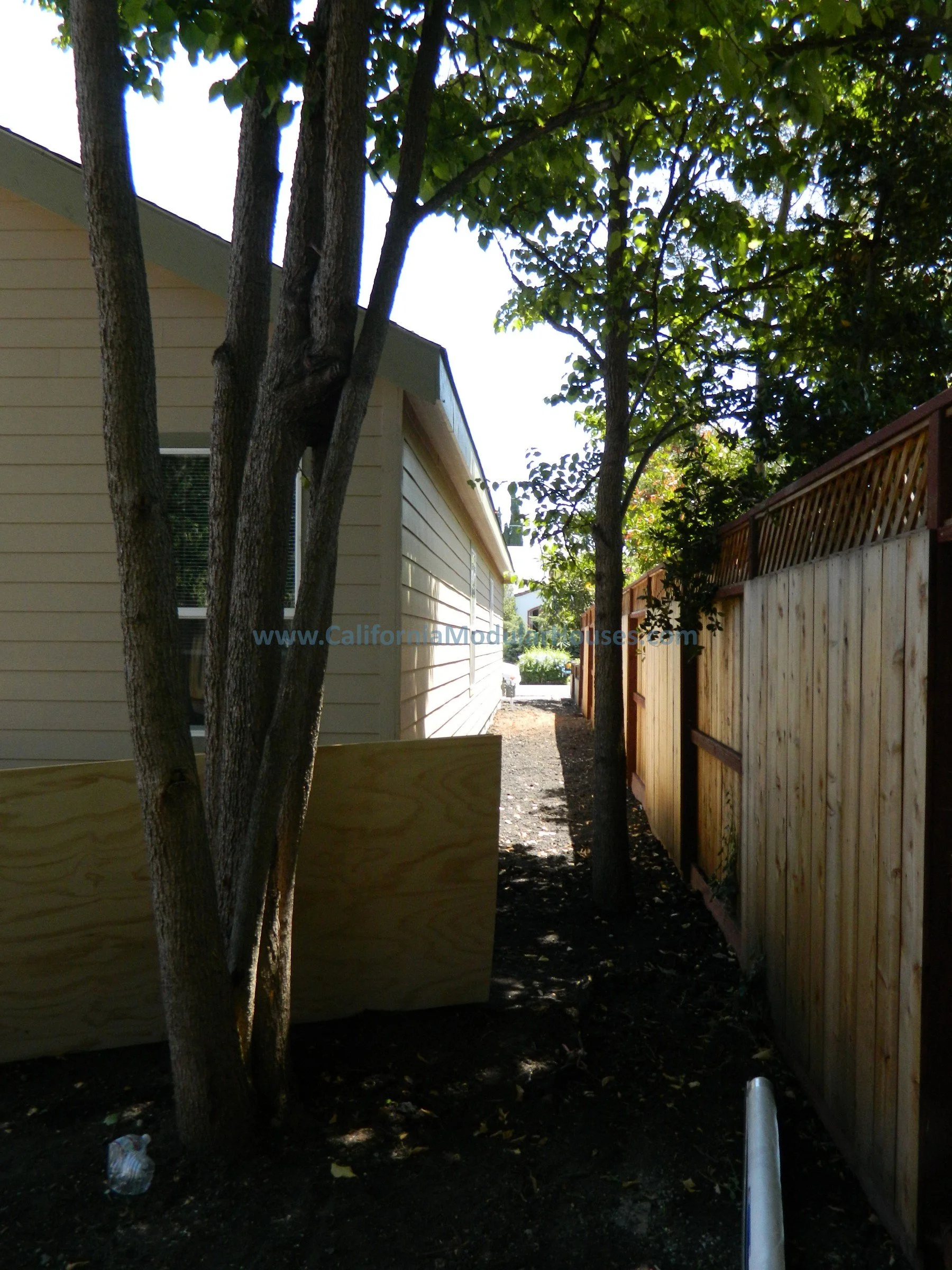 Side yard alley between a beige house with siding and a wooden fence, with trees casting shadows on the ground.