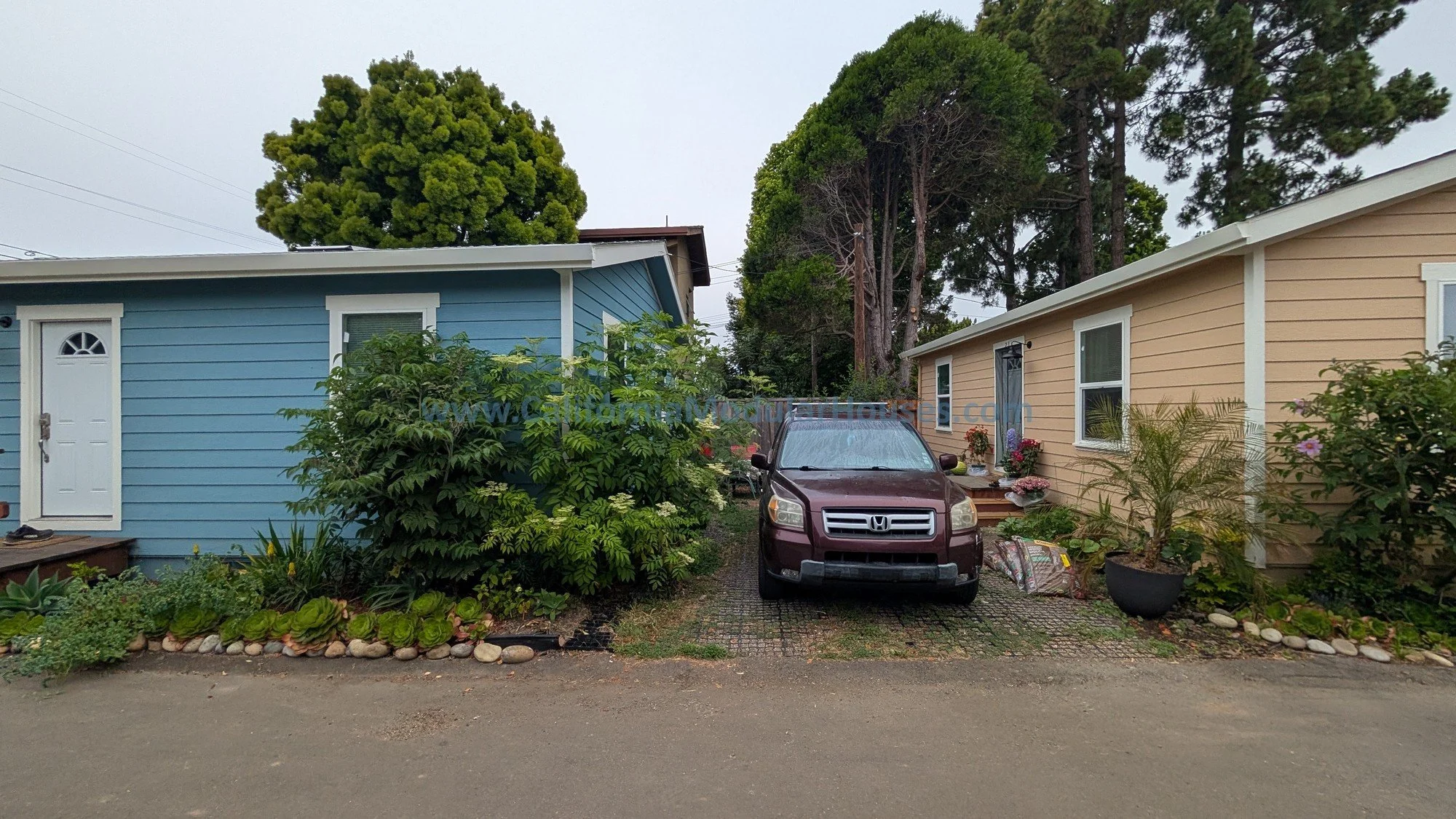 Exterior view of two single-story houses with plants and bushes, green trees in the background, a maroon Honda SUV parked in the driveway, and a gravel street in the foreground.