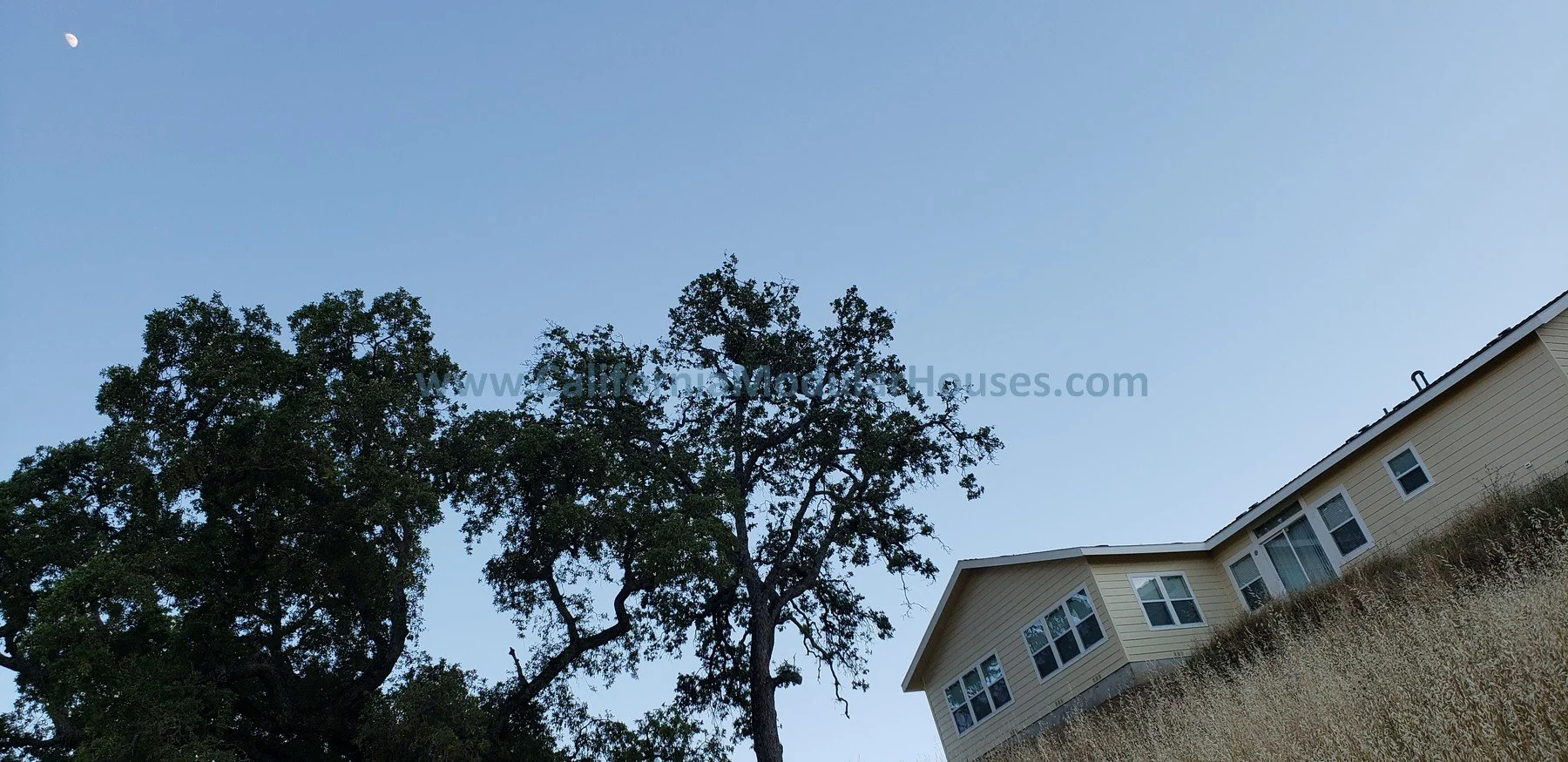 Low-angle view of a large tree with dark green leaves and a house with multiple windows, beige siding, and a sloped roof in the background during daytime with clear blue sky.  Modular Home CA,