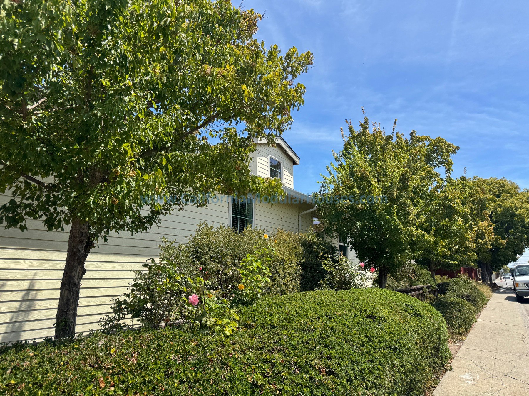 Residential neighborhood scene with large trees, shrubbery, and a sidewalk in front of a house with beige siding, two windows, and a small yard. Clear blue sky.