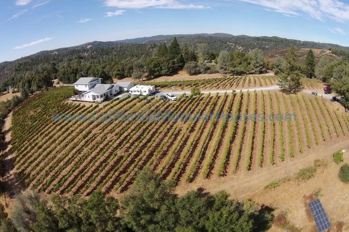 Aerial view of a vineyard with rows of grapevines, a white house, trailers, parked cars, and surrounding trees on rolling hills under a partly cloudy sky.