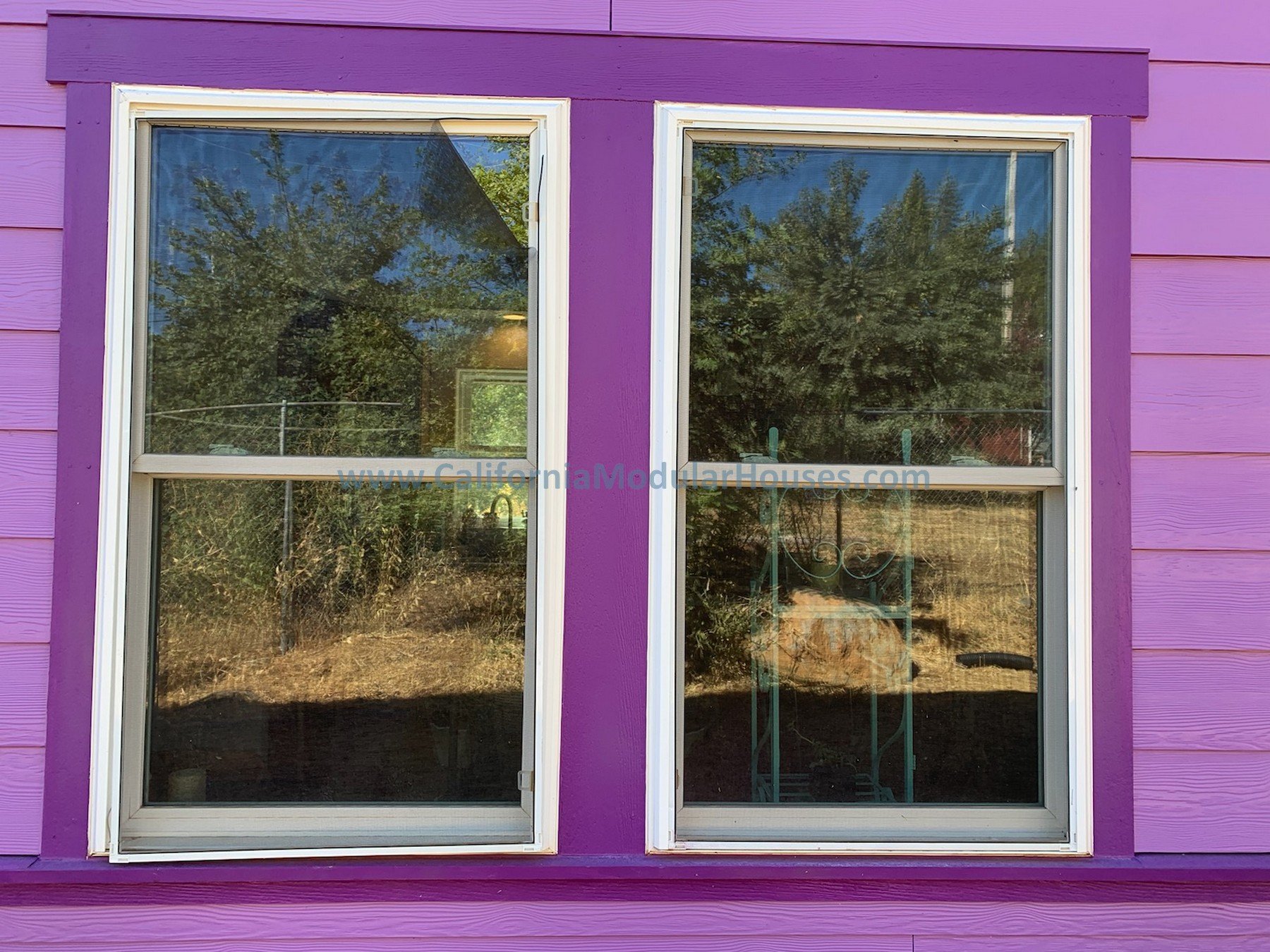 Two large rectangular windows with white frames are set into a purple exterior wall of a building. The glass reflects trees and the sky outside.  Modular Homes in California, Modular Homes California, California Modular Homes,