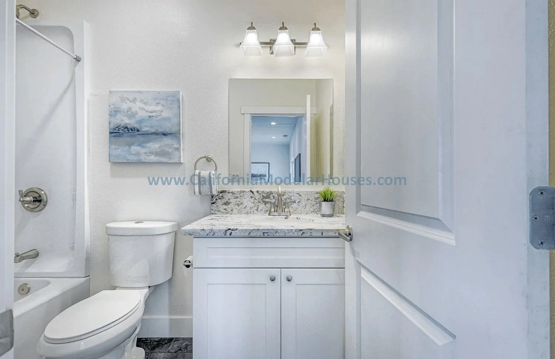 Bathroom with a white toilet, a vanity with a marble countertop, a mirror, a small potted plant, and a wall painting of a seascape