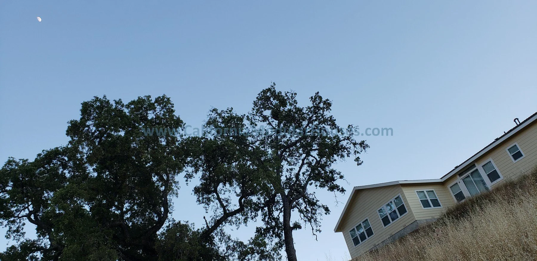 Blue sky with visible crescent moon, large trees with dense green foliage, and a beige house with multiple windows on a grassy hillside.  Bay Area Prefab Homes, Modular Homes California,