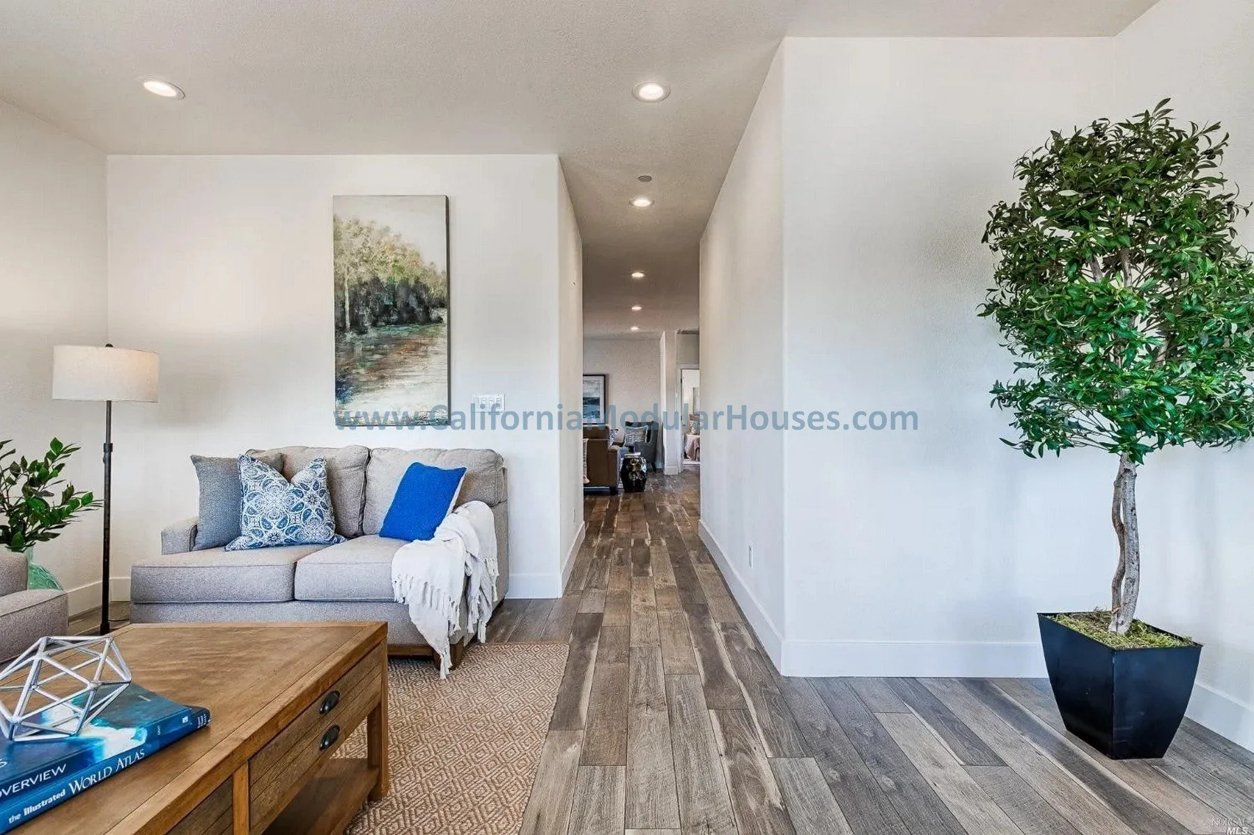 Living room with gray sofa, white walls, wooden flooring, potted plant, and artwork on the wall.
