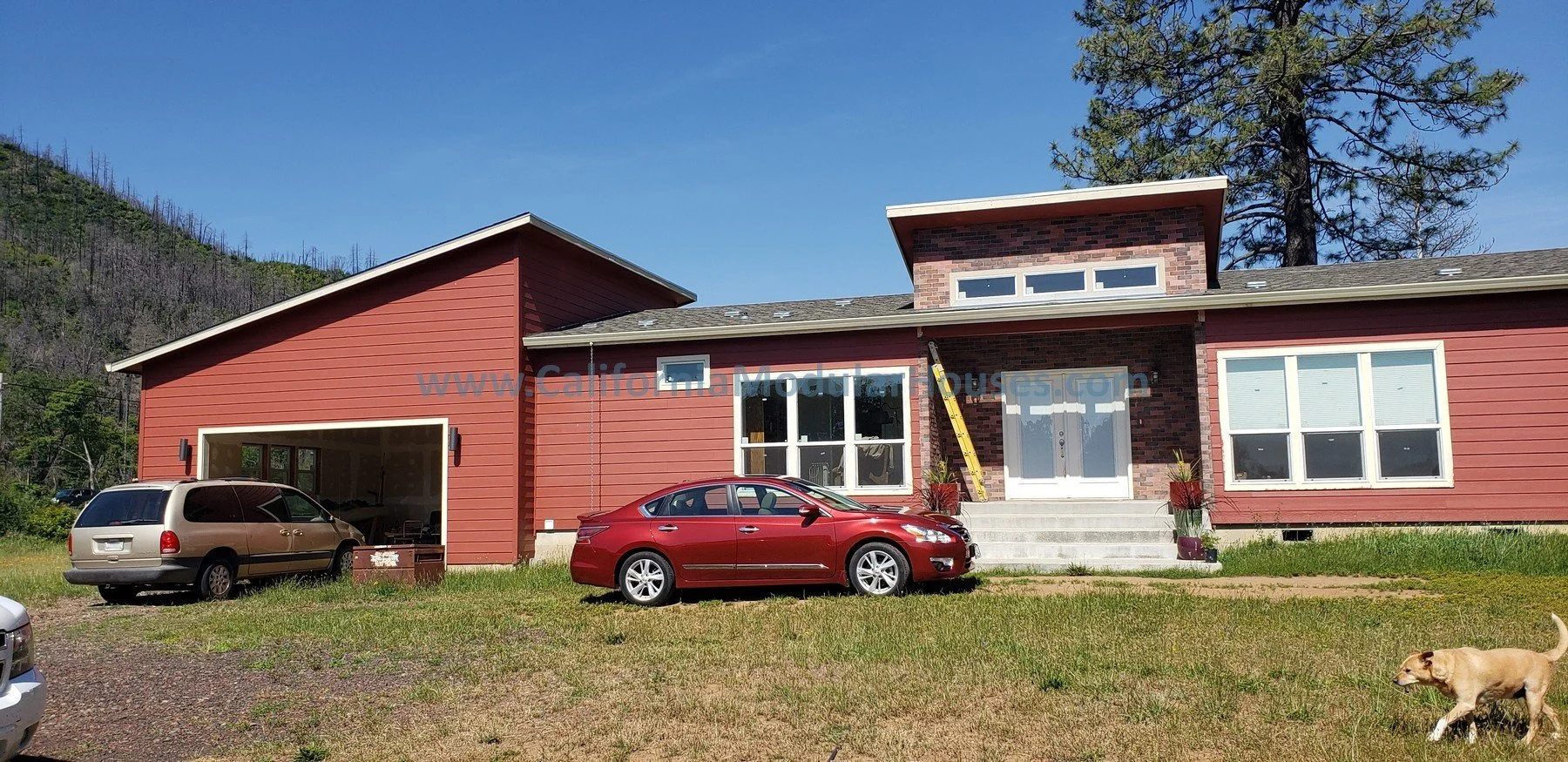 A red modern house with large windows, a brick and wooden exterior with a dog walking on the lawn, and a tree in the background under a clear blue sky. Northern California Prefab Homes, California Prefab Modular Home.