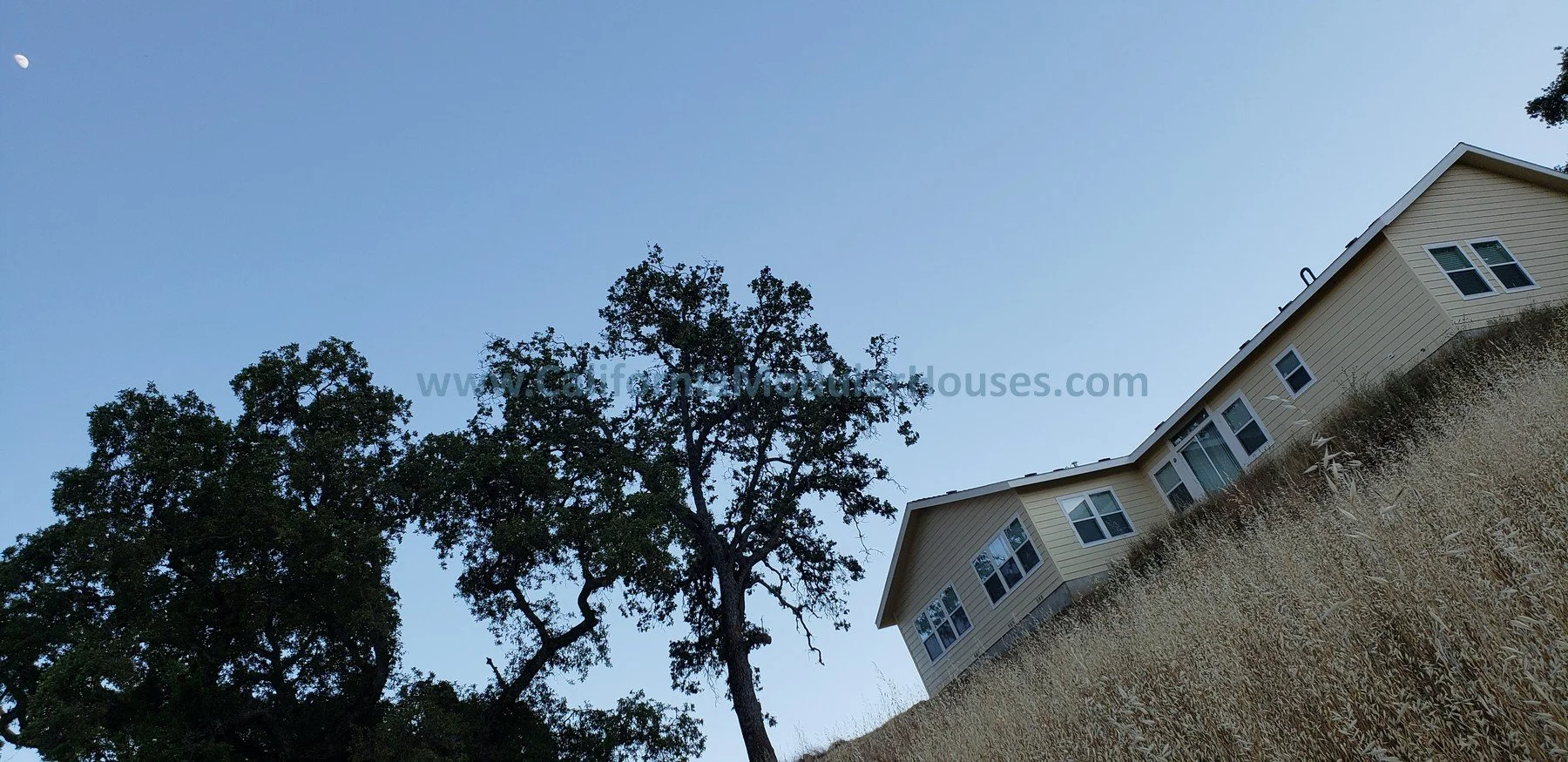 A tilted view of a yellow house with white windows on a hillside with tall dry grass and large trees, against a clear blue sky. Bay Area Prefab Modular Home, California Modular Homes.