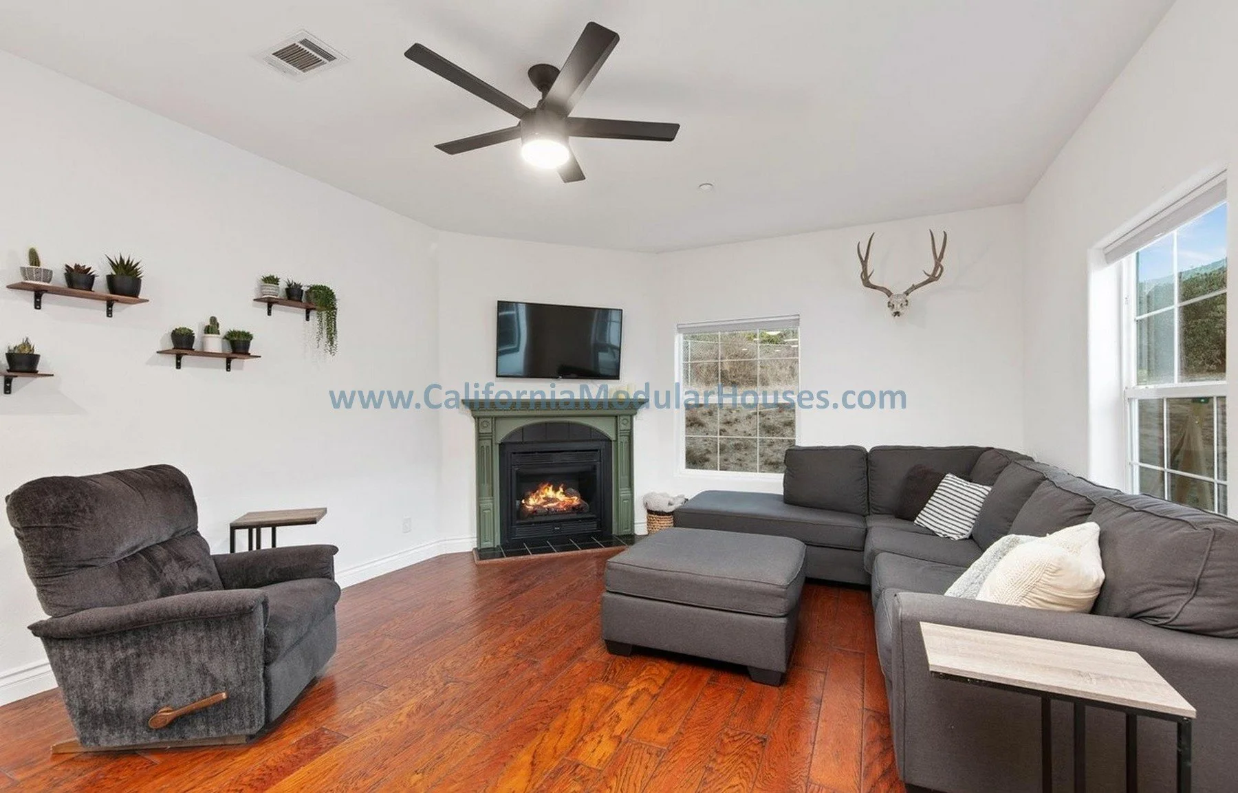 Living room with gray sectional sofa, black armchair, fireplace, wall-mounted TV, wall-mounted shelves with potted plants, deer skull with antlers, windows with outdoor view, hardwood flooring, ceiling fan.