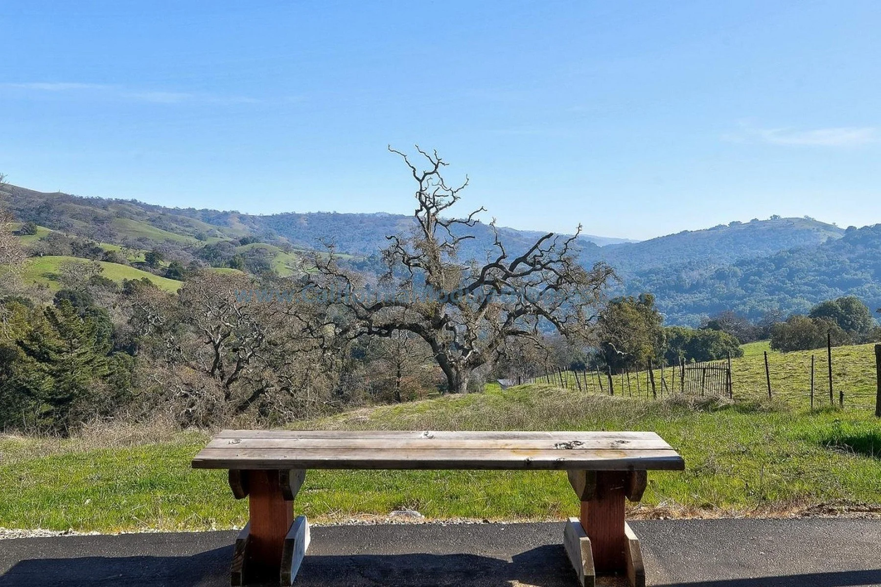 A wooden park bench overlooking green rolling hills and a leafless tree under a clear blue sky.  Santa Clara County Modular, California Modular Homes, California Modular Houses, 