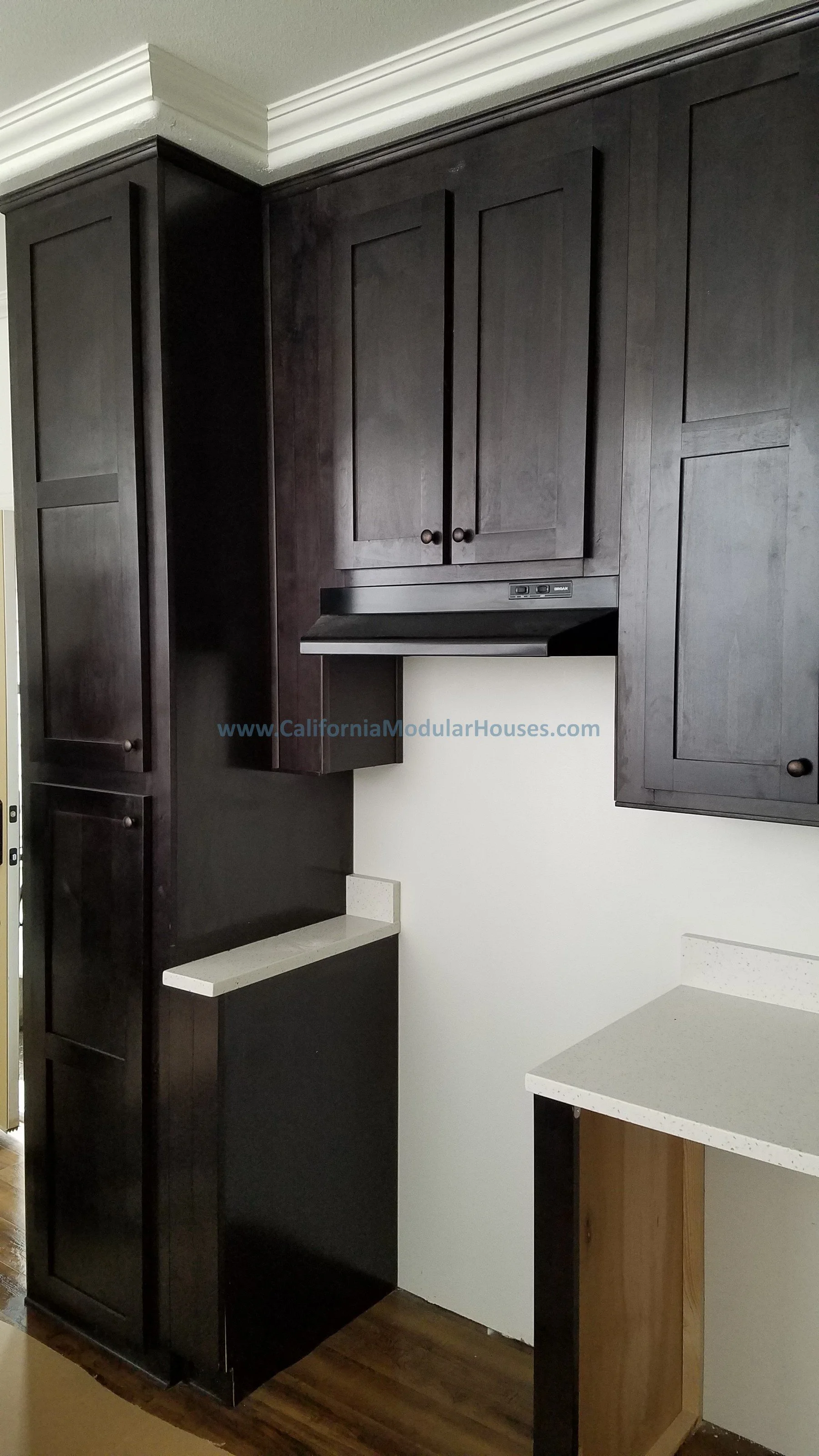 Dark wood kitchen cabinets, a white countertop on the right, and an empty wall space in the center.  Prefab Home California, Pre-Fabricated Homes,