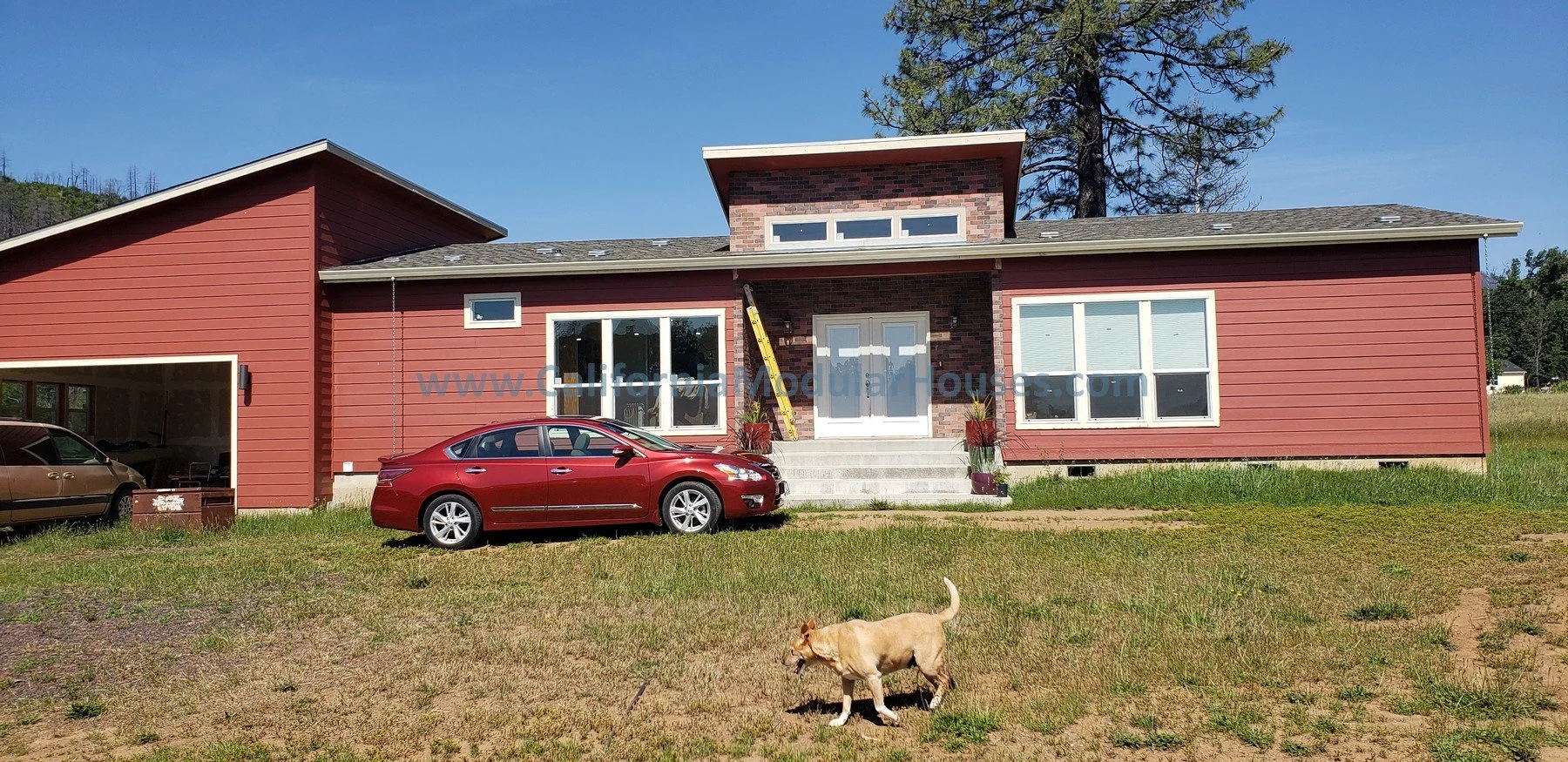 Newly built red house with large windows and concrete stairs, parked red car, and a dog walking on a grassy yard, under a clear blue sky. Modular Home CA, California Modular Homes.