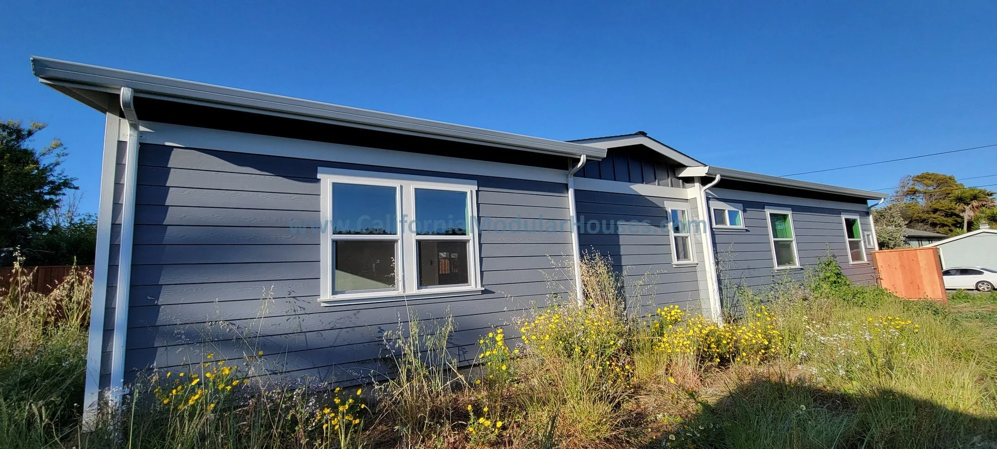 A blue modern house with white window trims, surrounded by overgrown grass and yellow wildflowers, under a clear blue sky.