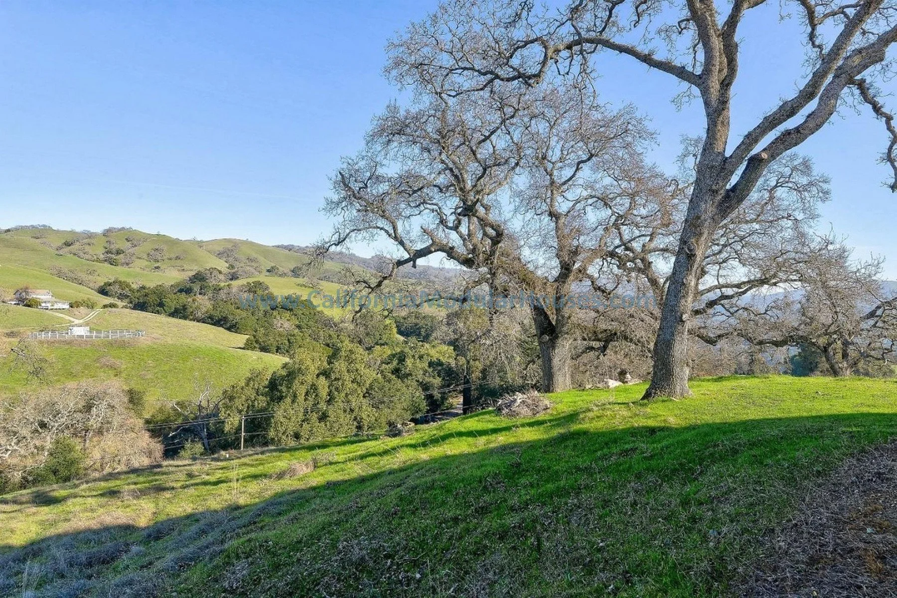 A scenic landscape with leafless trees on a grassy hill, green rolling hills in the background, and a clear blue sky. Modular Home on a Sloped Property. San Jose Modular Home, Pre-Fabricated Homes,