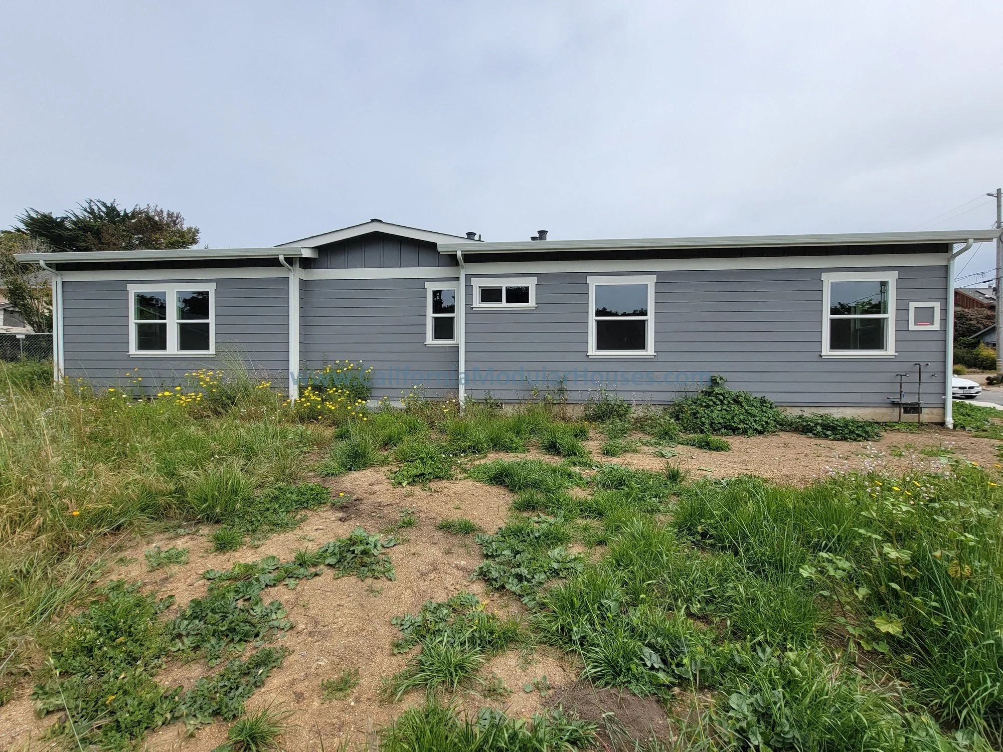 A long, single-story house with gray siding and white trim windows, set in a green yard with patches of grass and dirt, and some scattered plants and flowers.