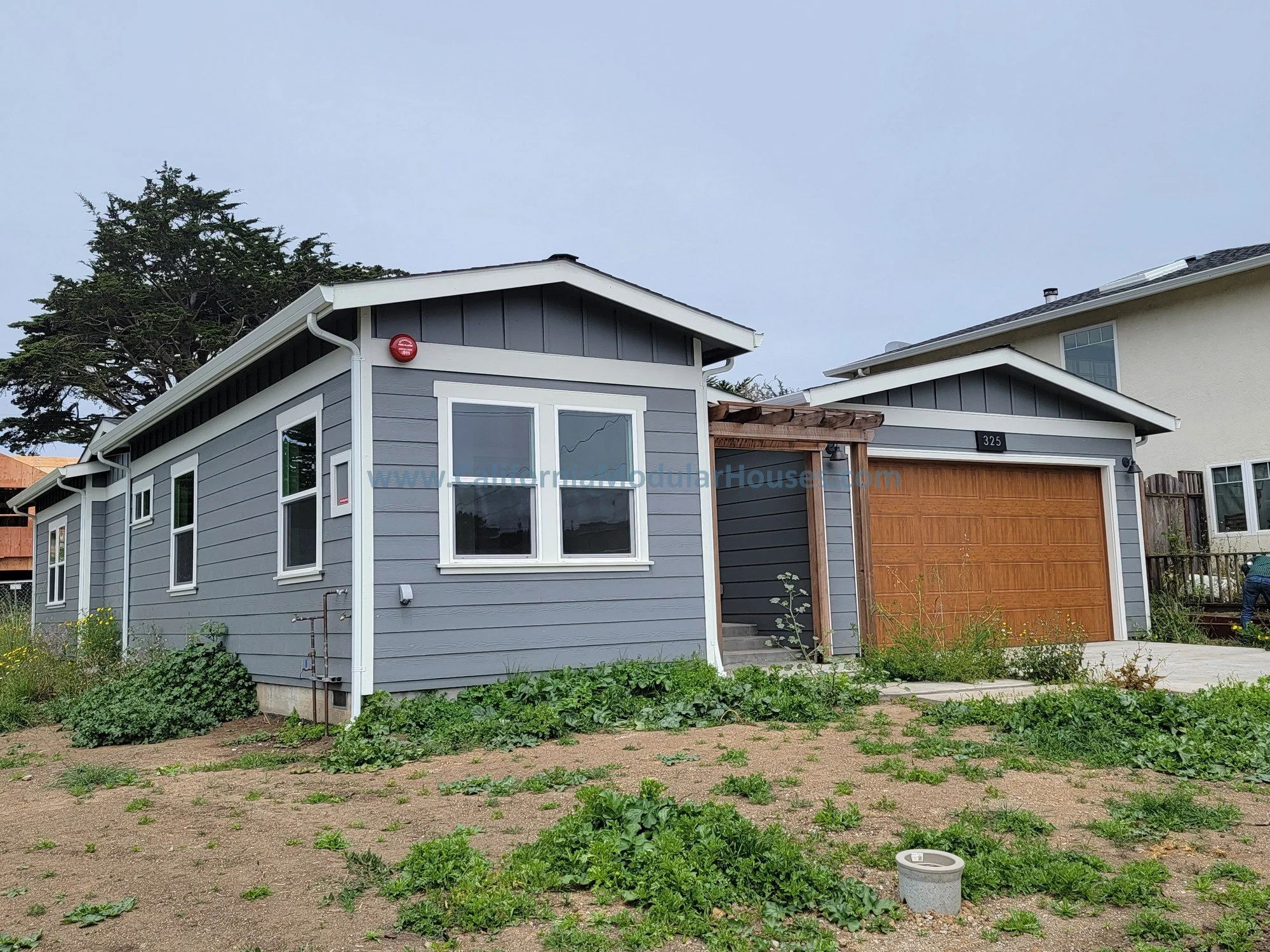A modern, gray, single-story house with white trim, a wooden garage door, and a small front porch. There is a large plant in the front yard, and the sky is overcast.