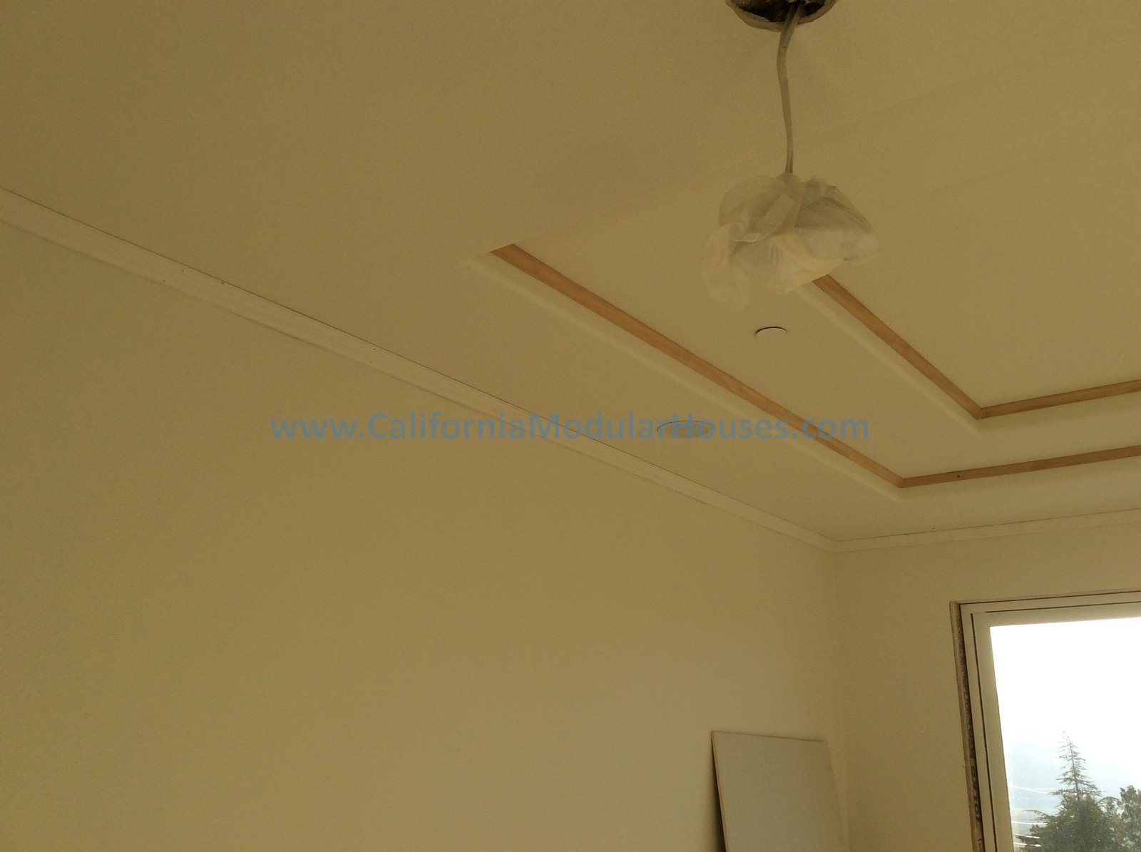 Image of a ceiling with a section outlined by decorative wooden trim, a light fixture covered with a plastic bag, and a nearby window showing trees outside.