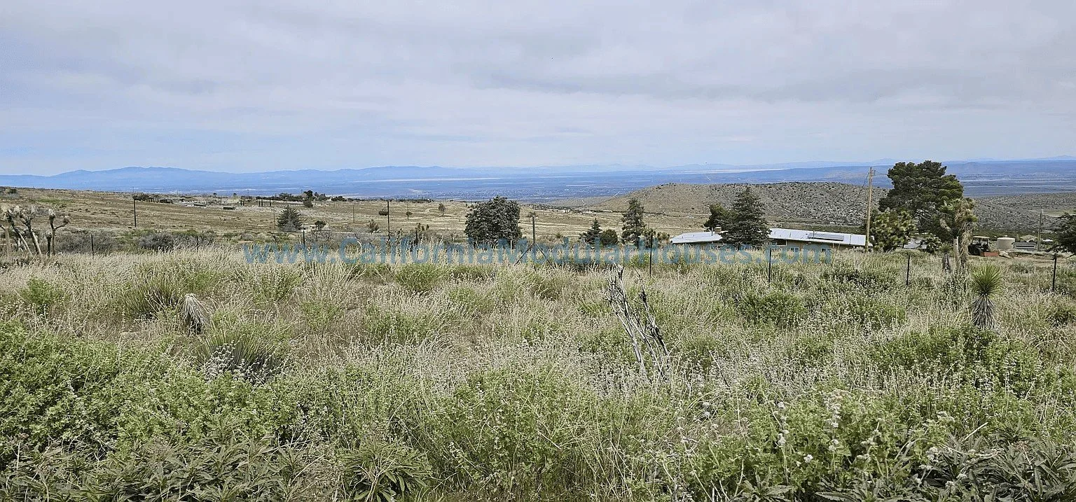 Open field with shrubs and small trees, rural landscape with distant mountains under cloudy sky, some farm buildings and fencing visible.