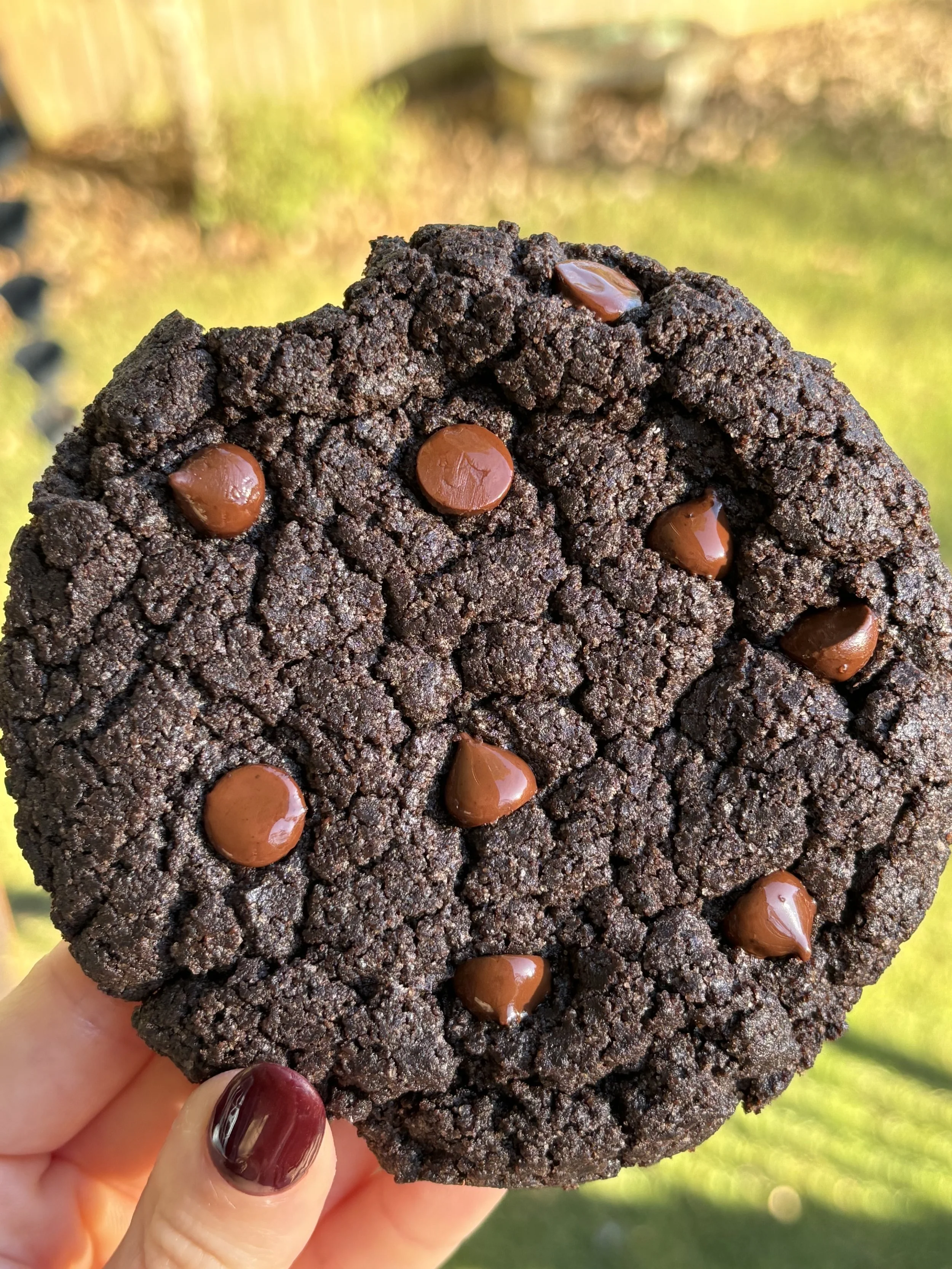 Double Chocolate Chip Gluten and Dairy Friendly Cookie