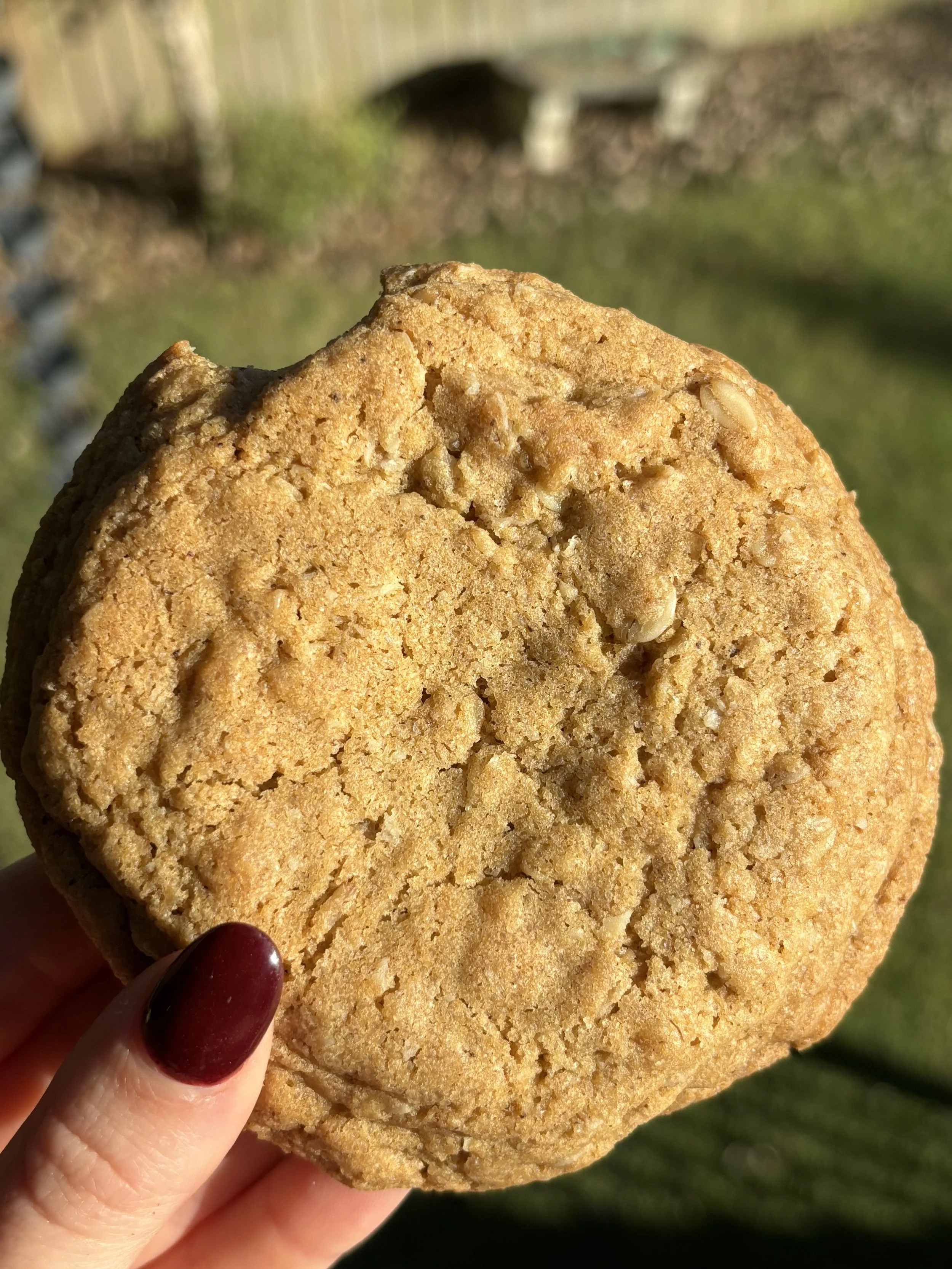 Spiced Oatmeal Cookie