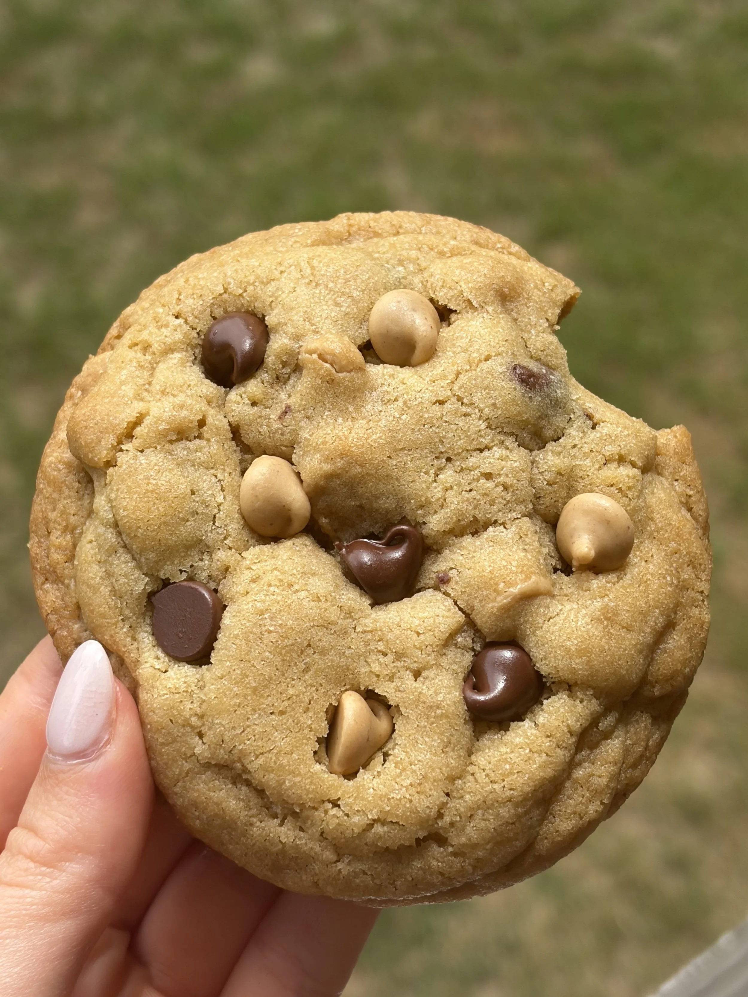 Chocolate and Peanut Butter Chip Cookie