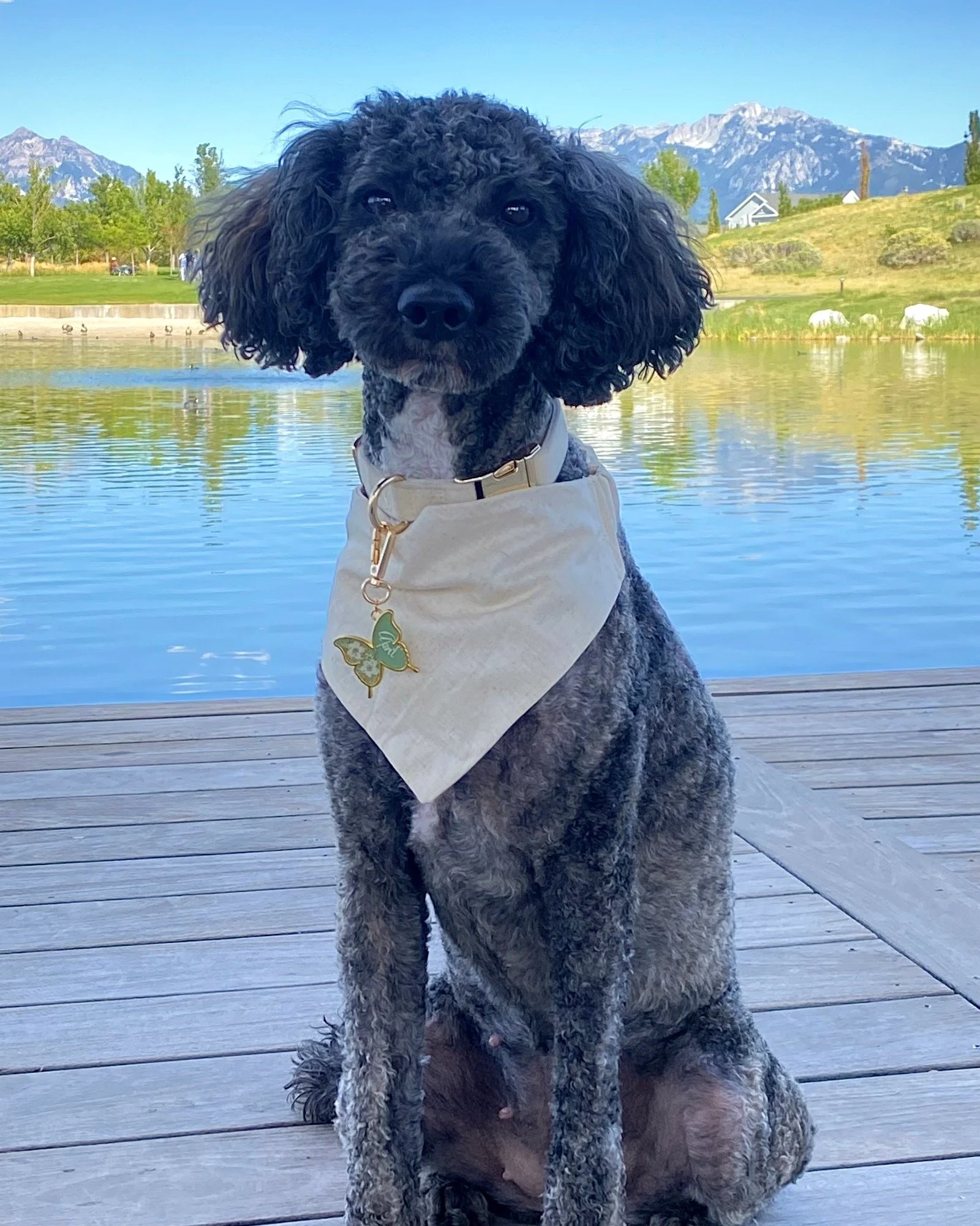 neckerchief-bone.jpg