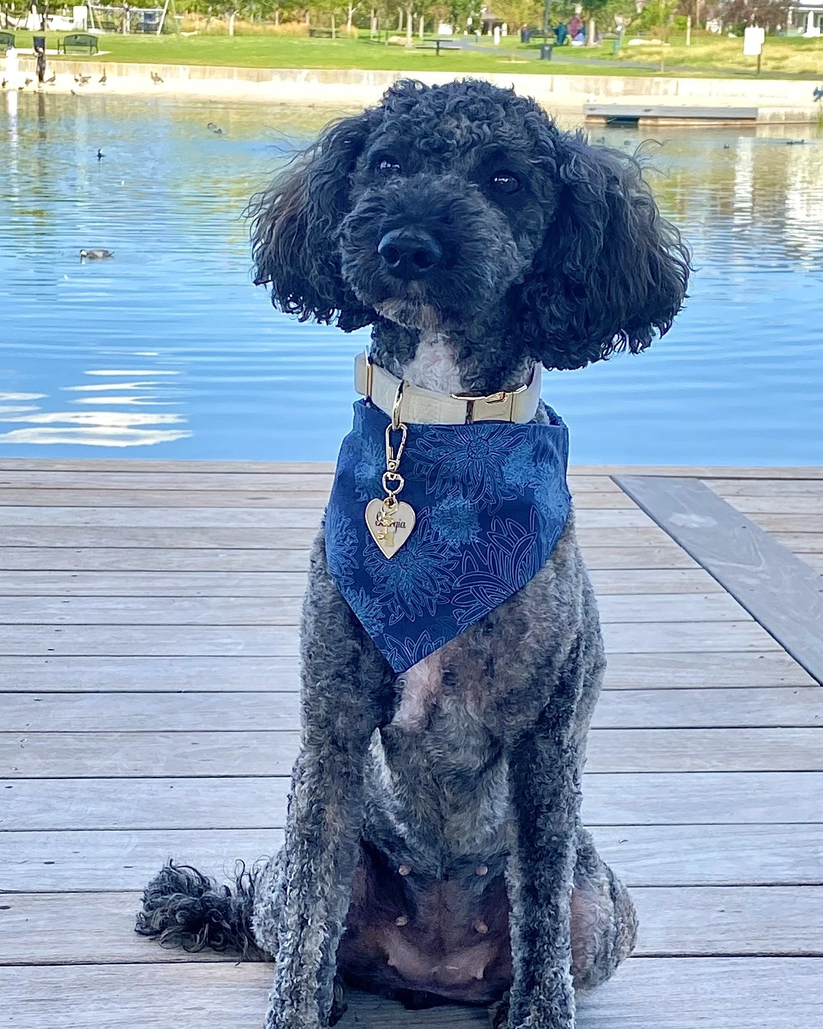 neckerchief-navy-dahlia.jpg