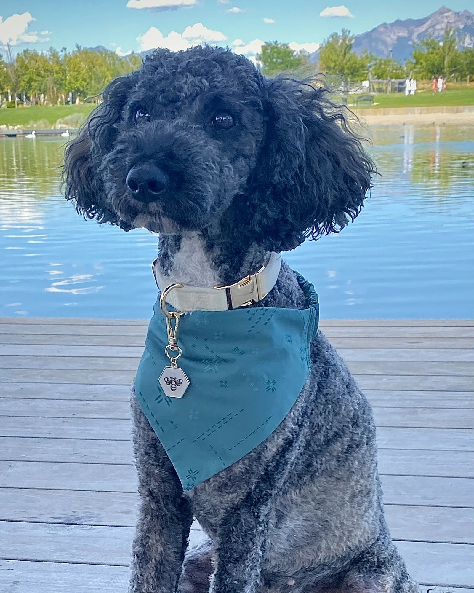 neckerchief-juniper.jpg