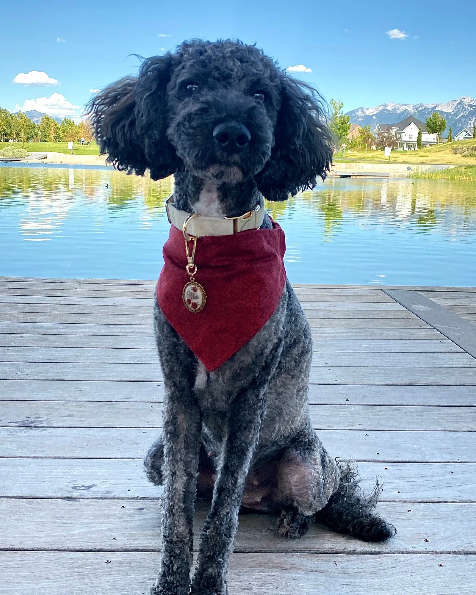 neckerchief-garnet.jpg