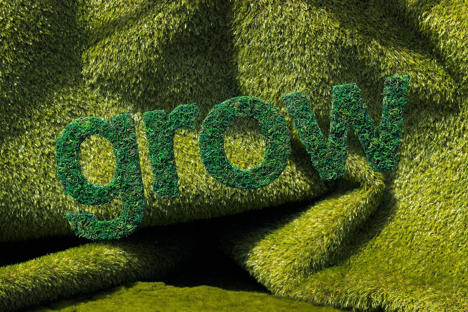 Grow, is a word full of so much life and possibilities.
