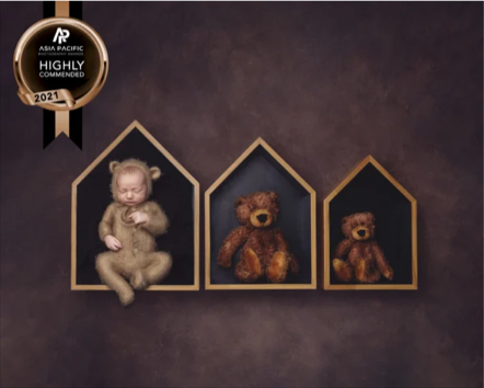 Three house-shaped frames containing plush toys, a girl and two teddy bears, on a dark background.