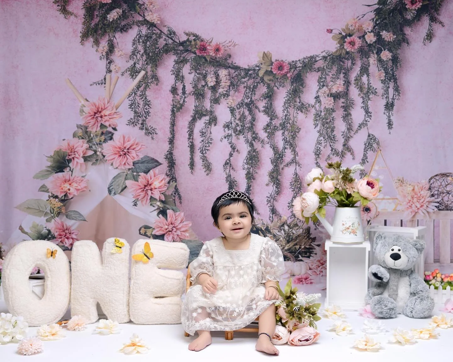 family photographer Auckland