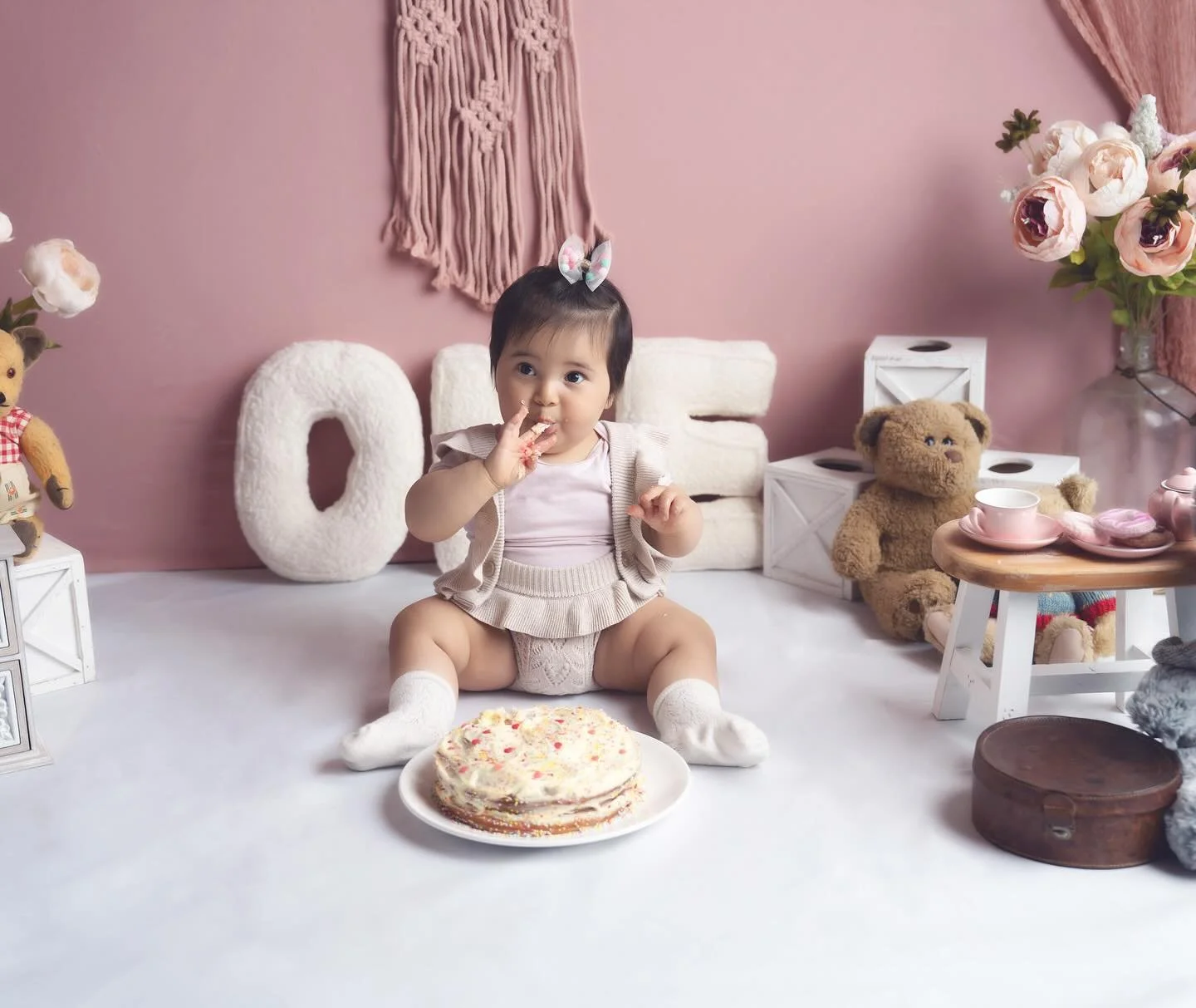 family photographer Auckland