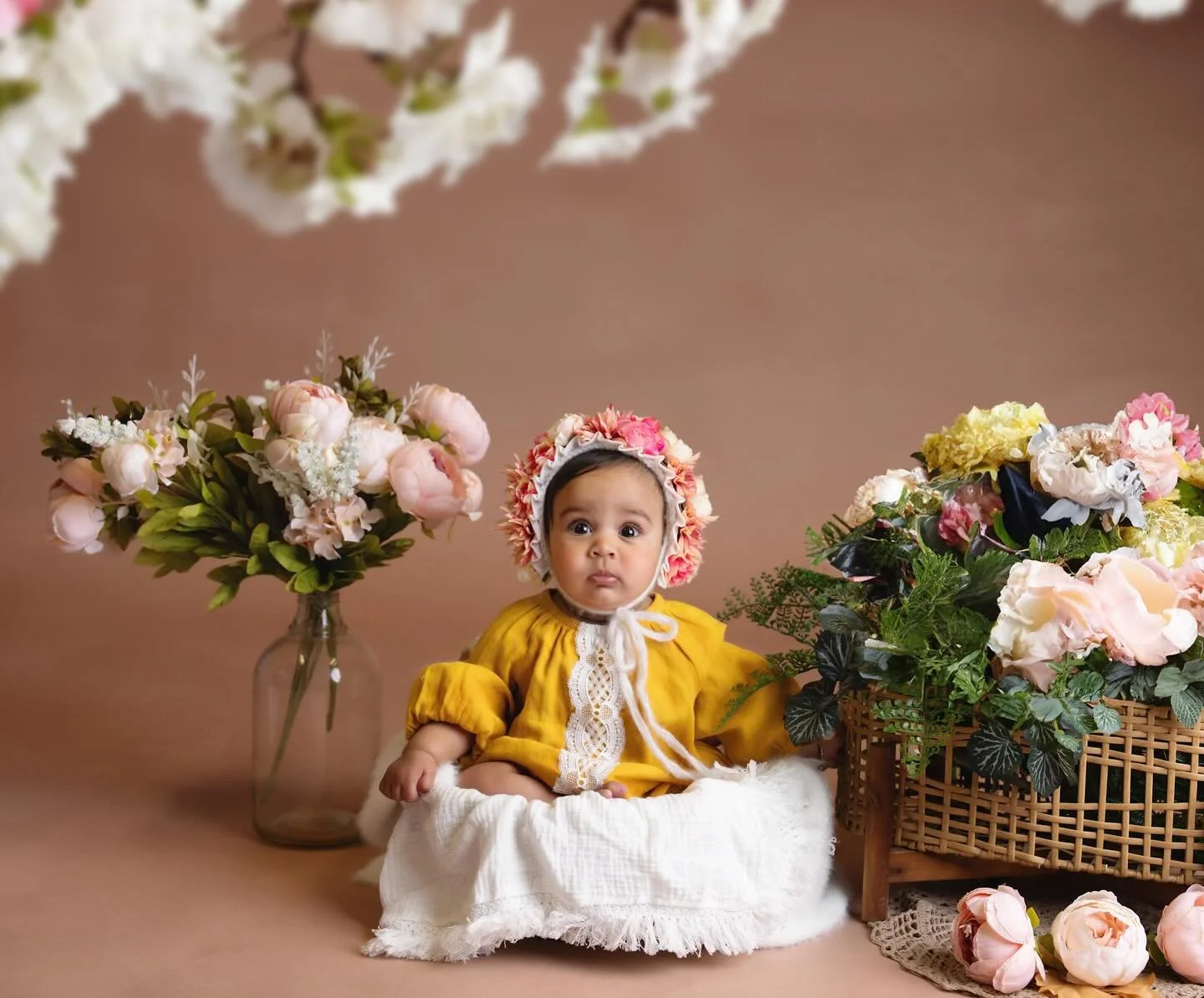 family photographer Auckland
