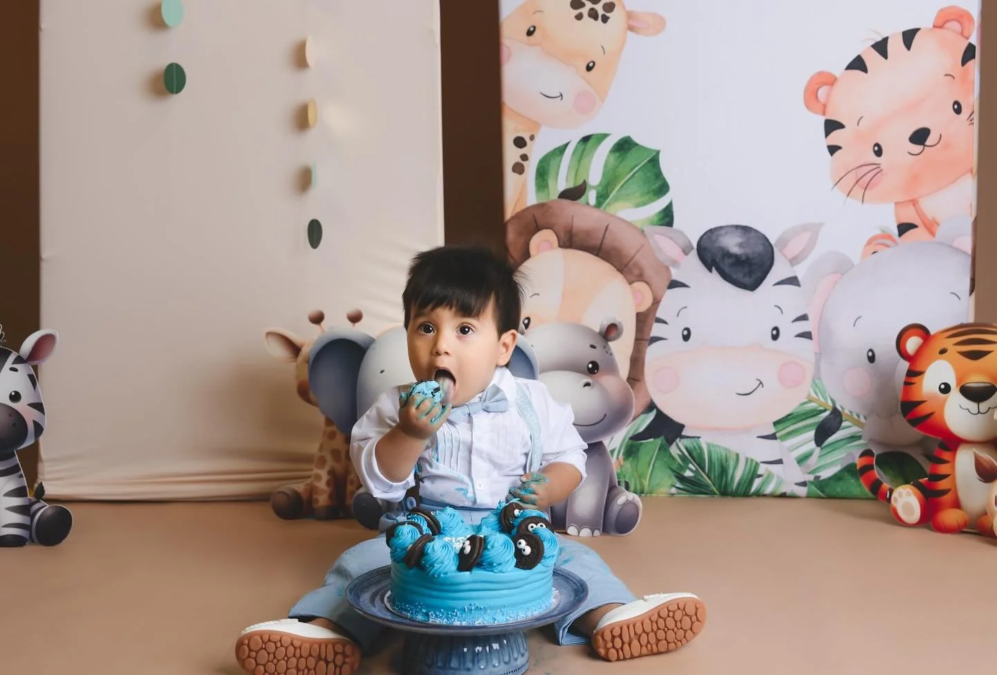 family photographer Auckland