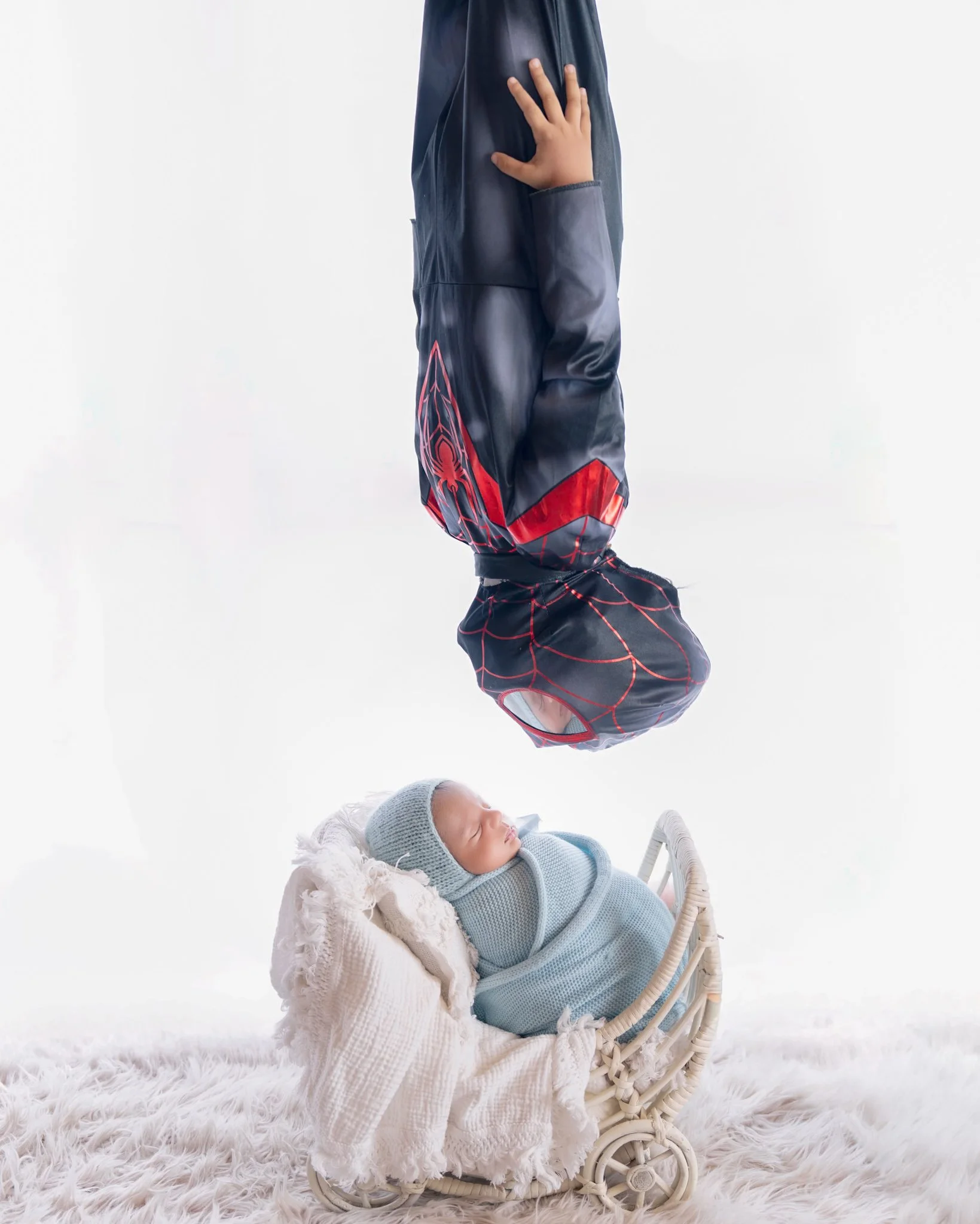 auckland newborn photographer