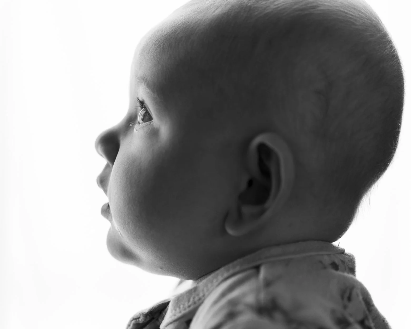 family photographer Auckland