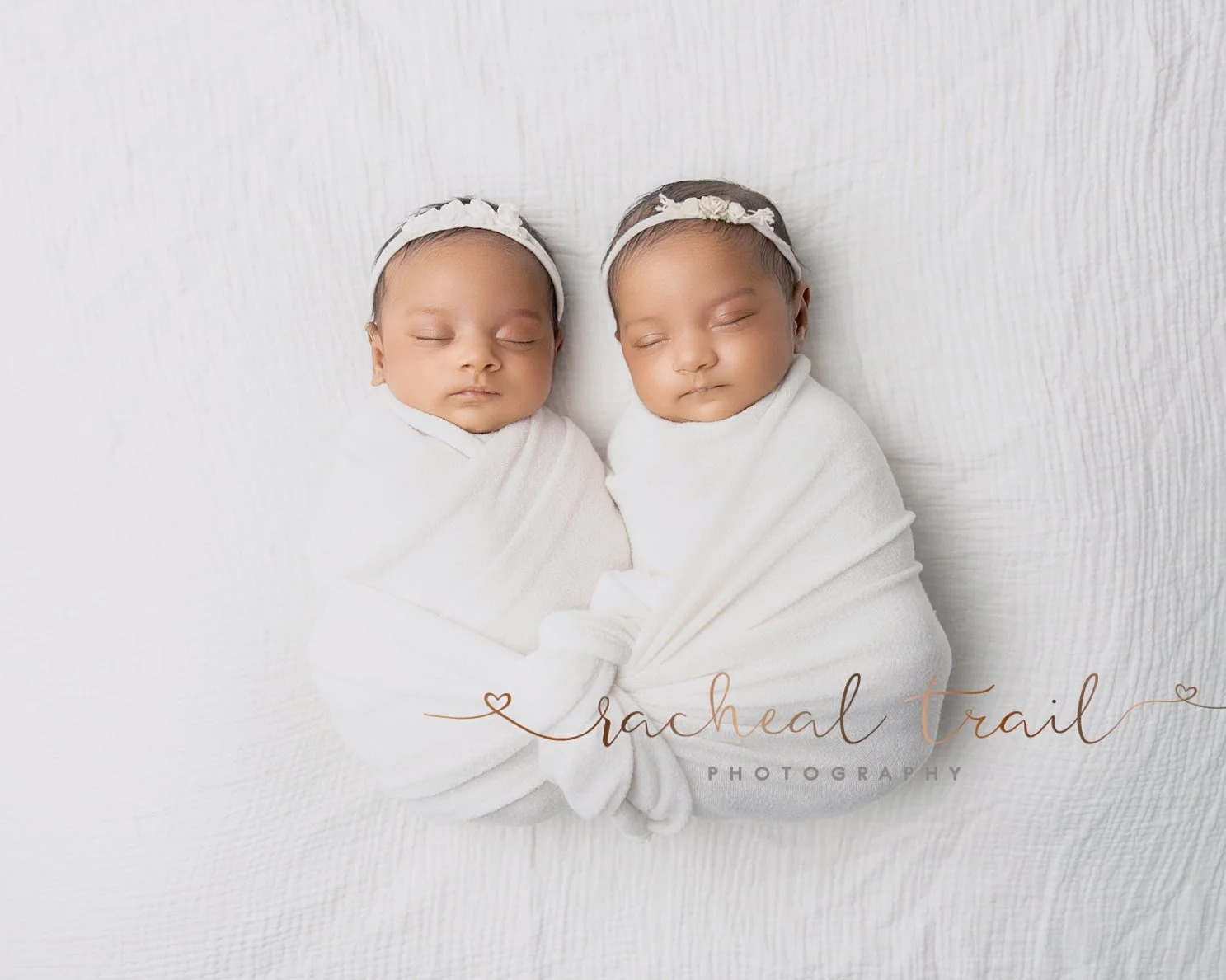 Newborn twins wrapped in white during a posed newborn photography session in Auckland