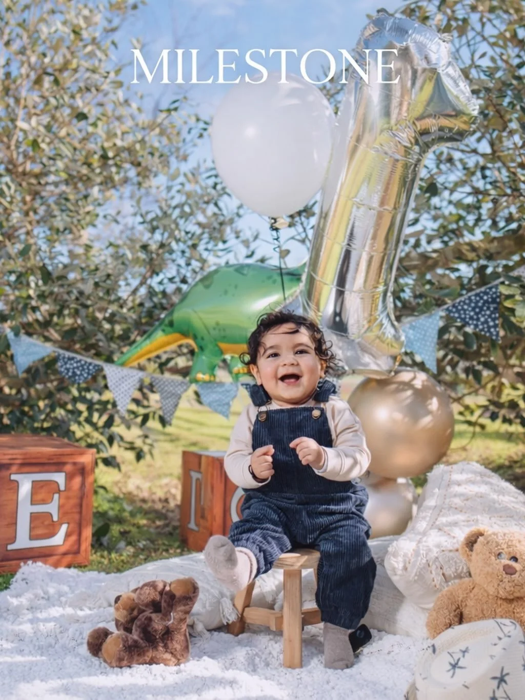 family photographer Auckland
