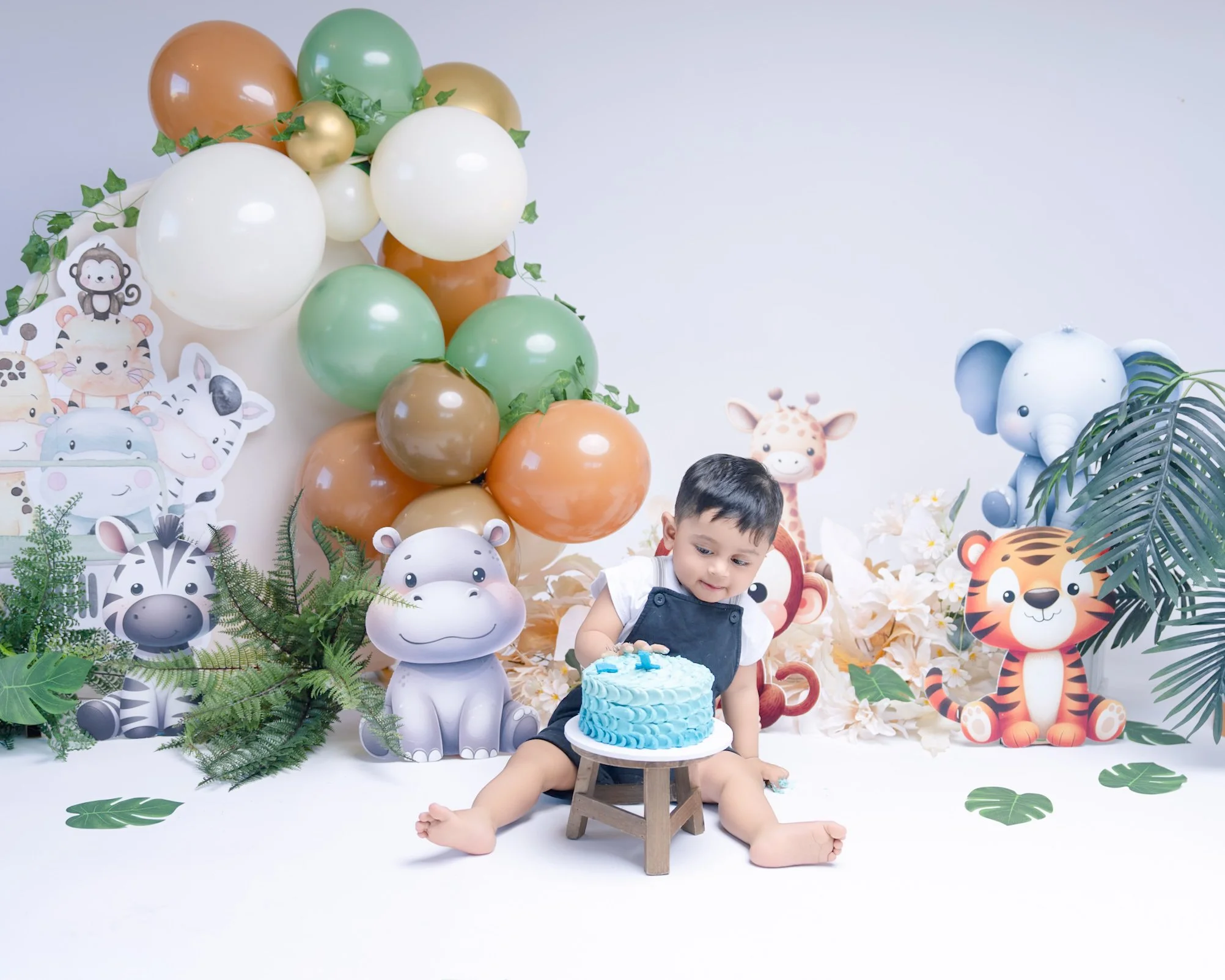 Auckland family photographer