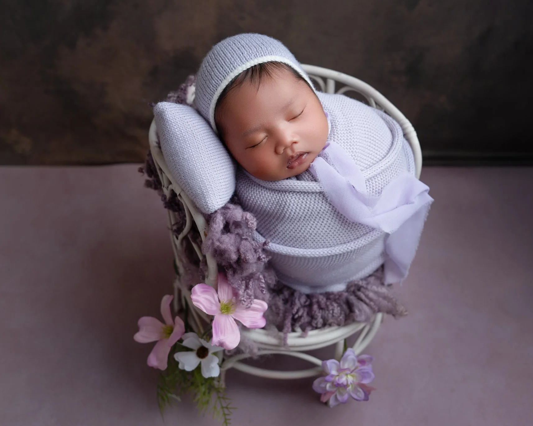auckland newborn photographer