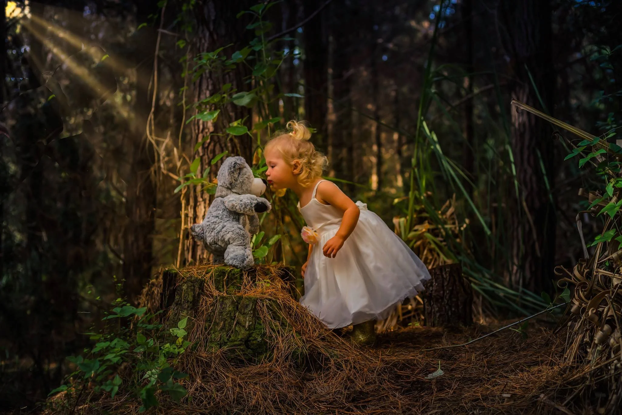 family photographer Auckland
