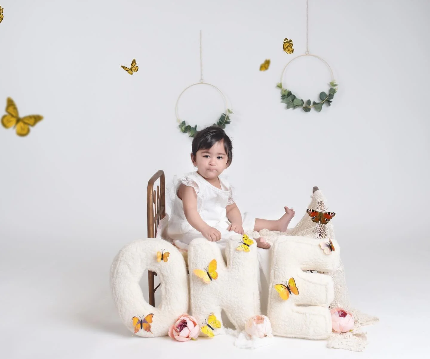 family photographer Auckland